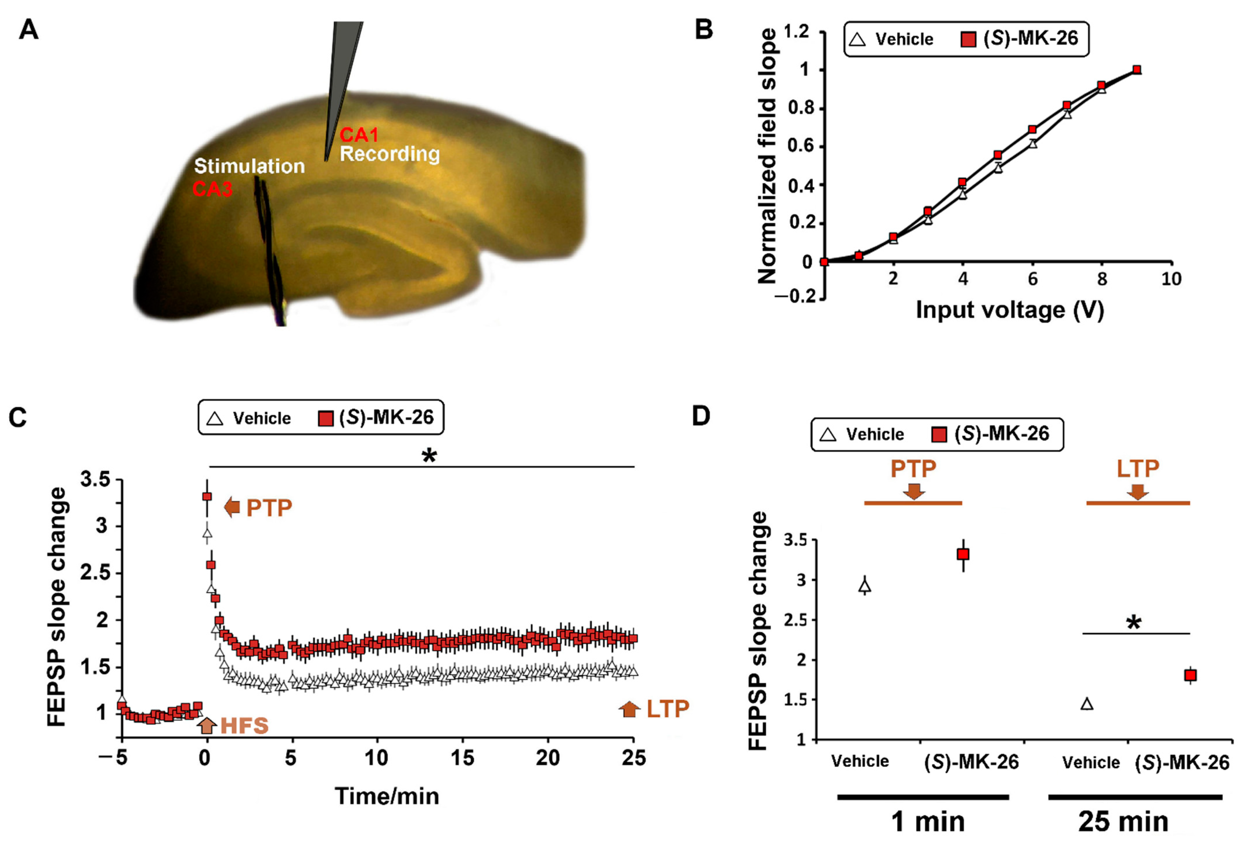 Biomolecules 12 00881 g008