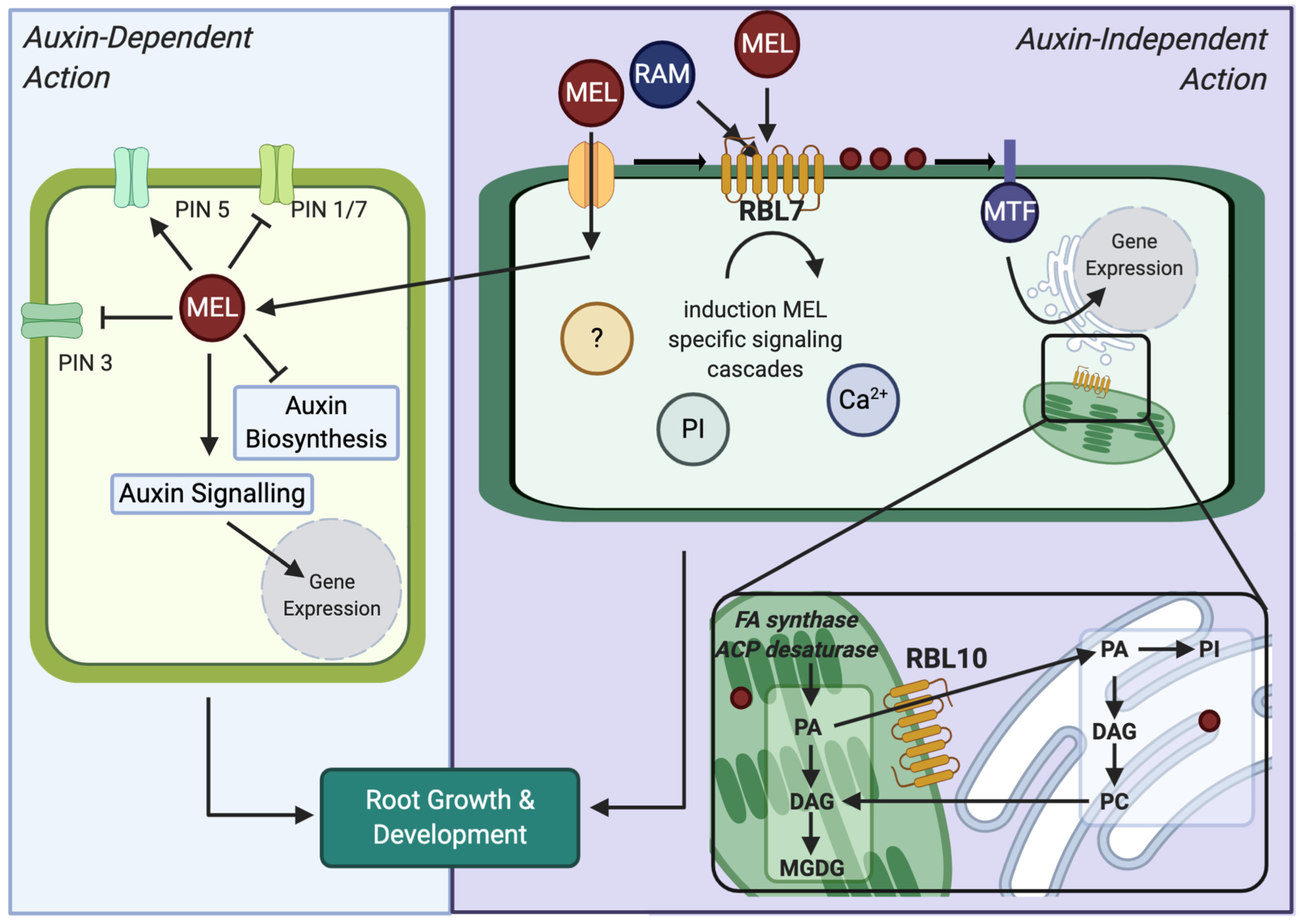 Biomolecules 12 00882 g007