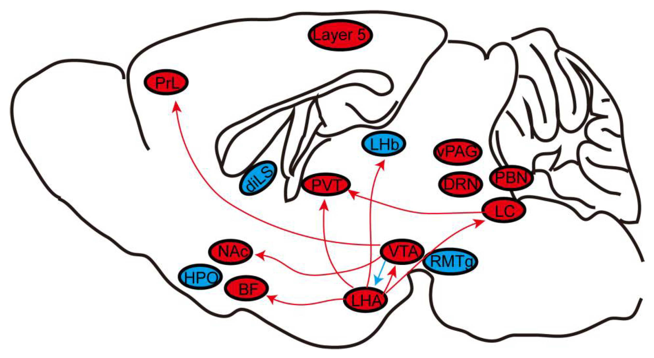 Biomolecules 12 00898 g004