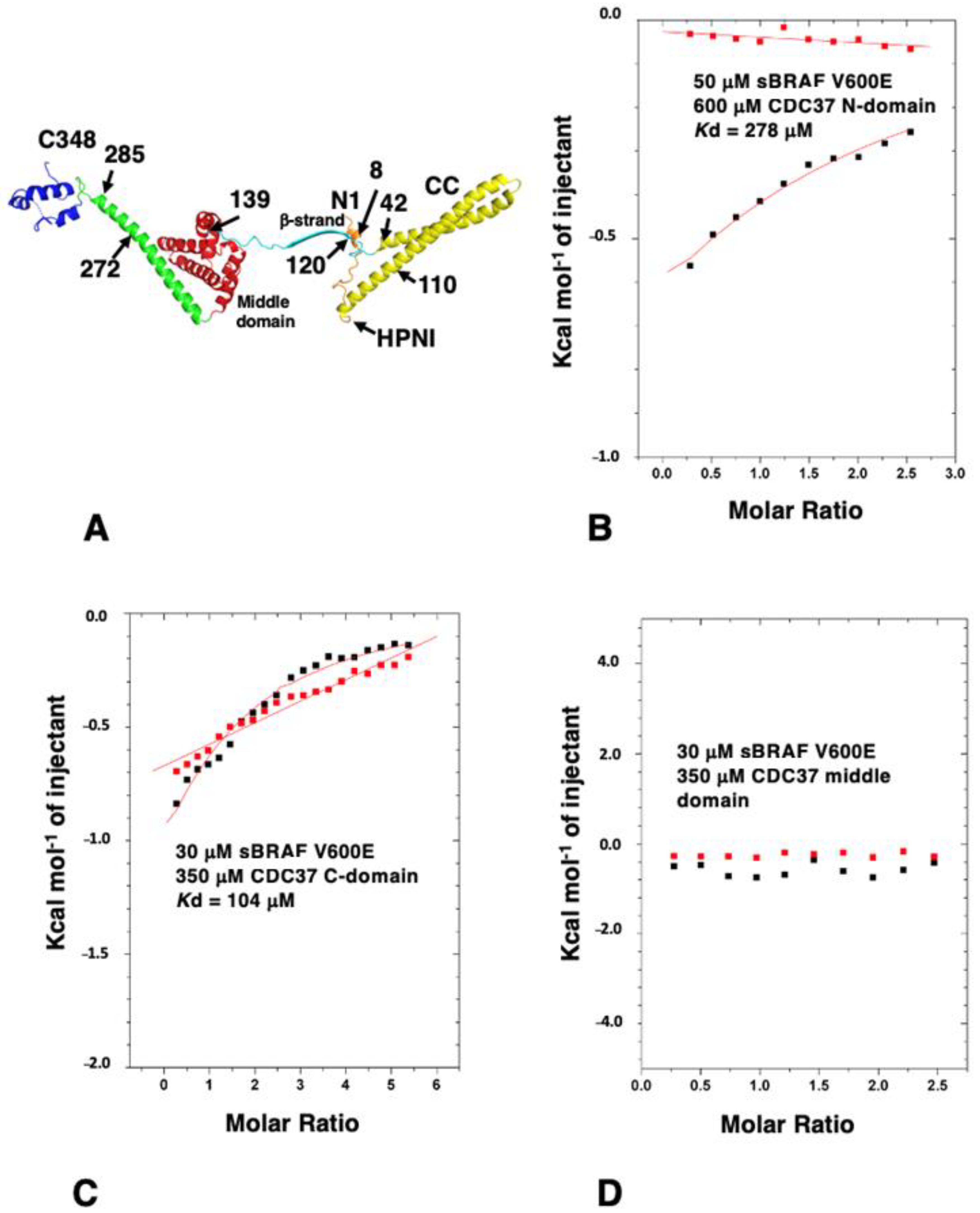 Biomolecules 12 00905 g002
