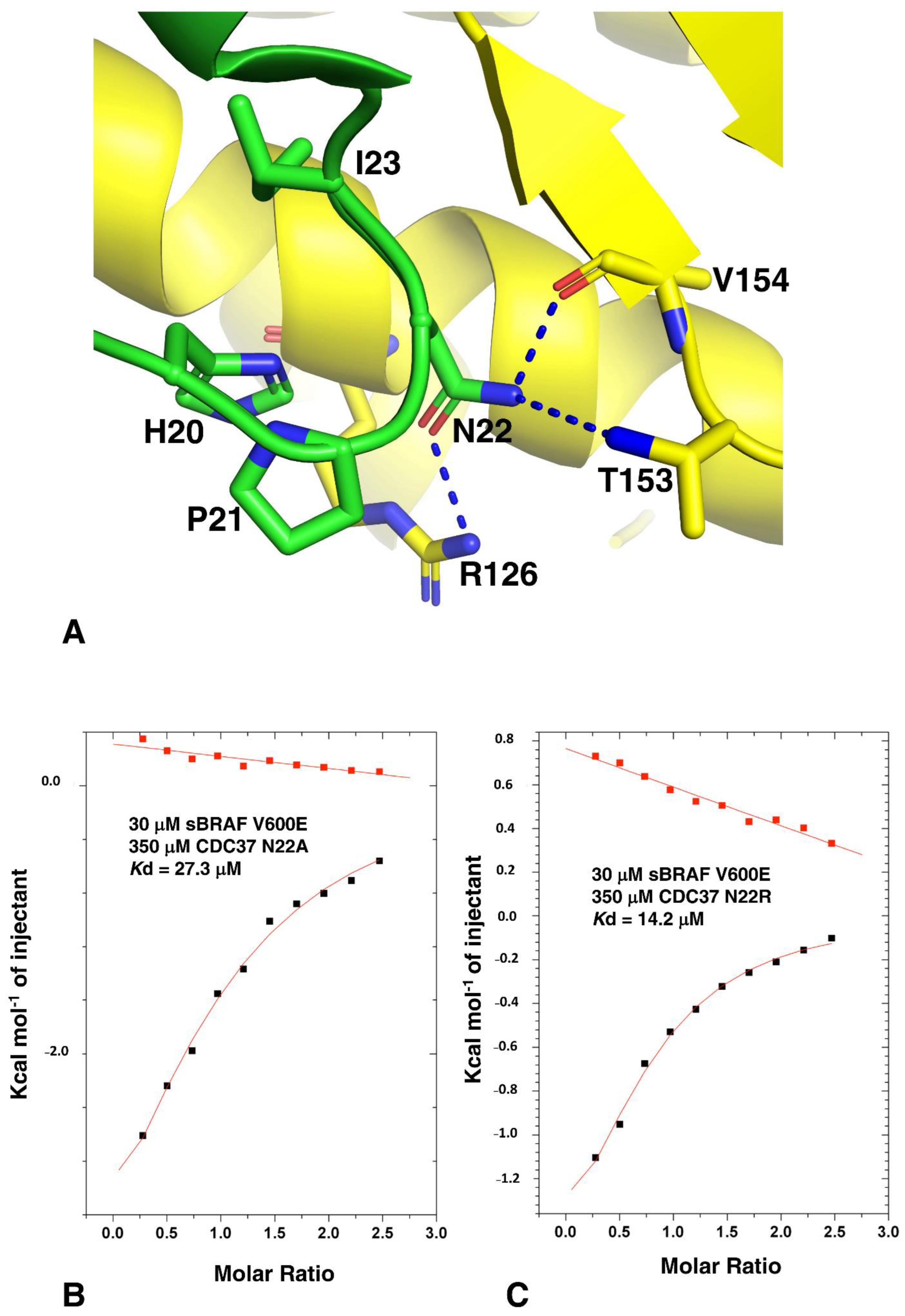 Biomolecules 12 00905 g007