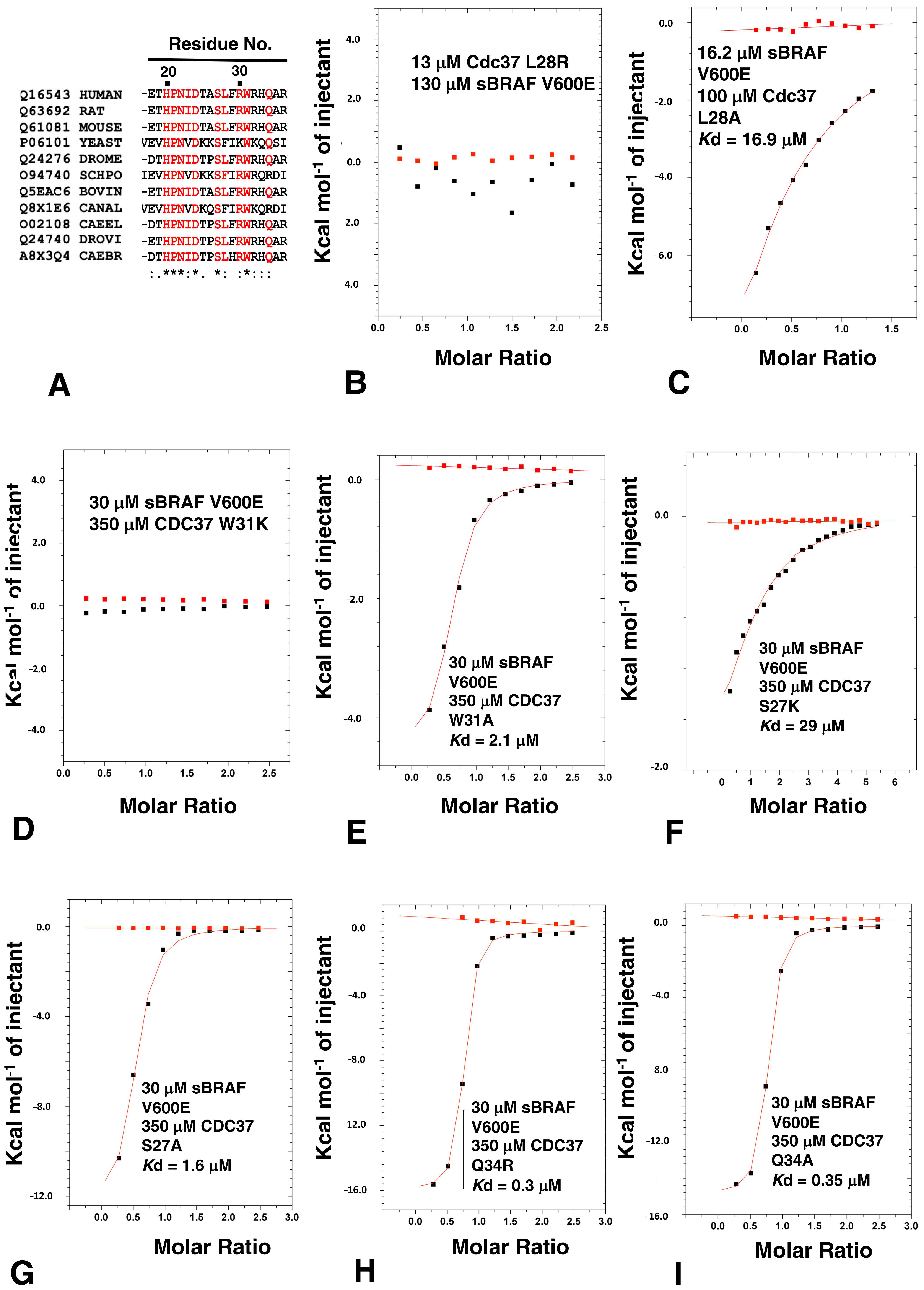 Biomolecules 12 00905 g008