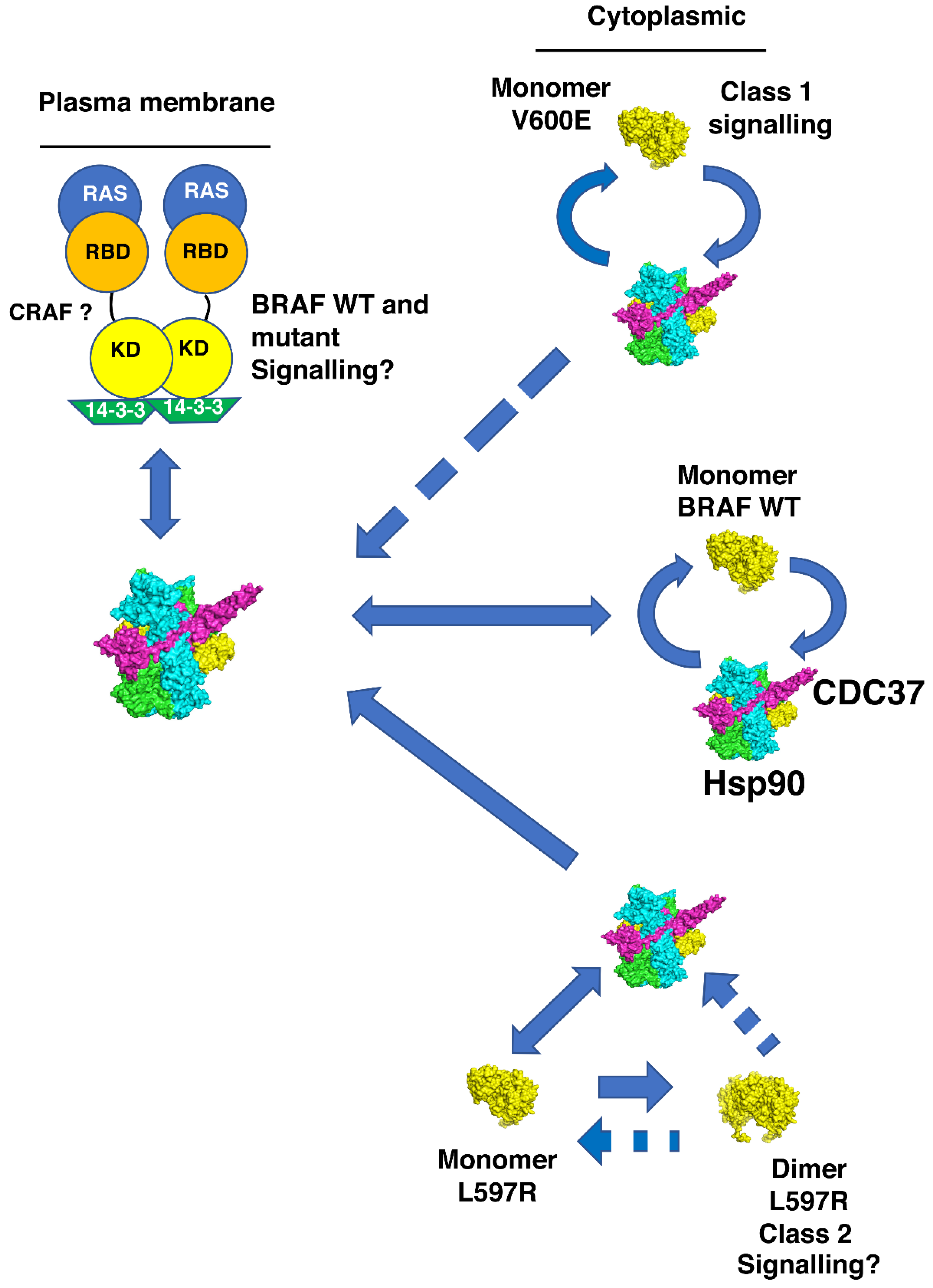 Biomolecules 12 00905 g012