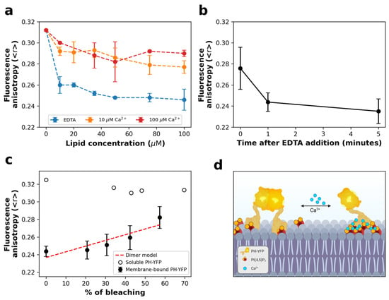 Design principles of PI(4,5)P2 clustering under protein-free conditions:  Specific cation effects and calcium-potassium synergy