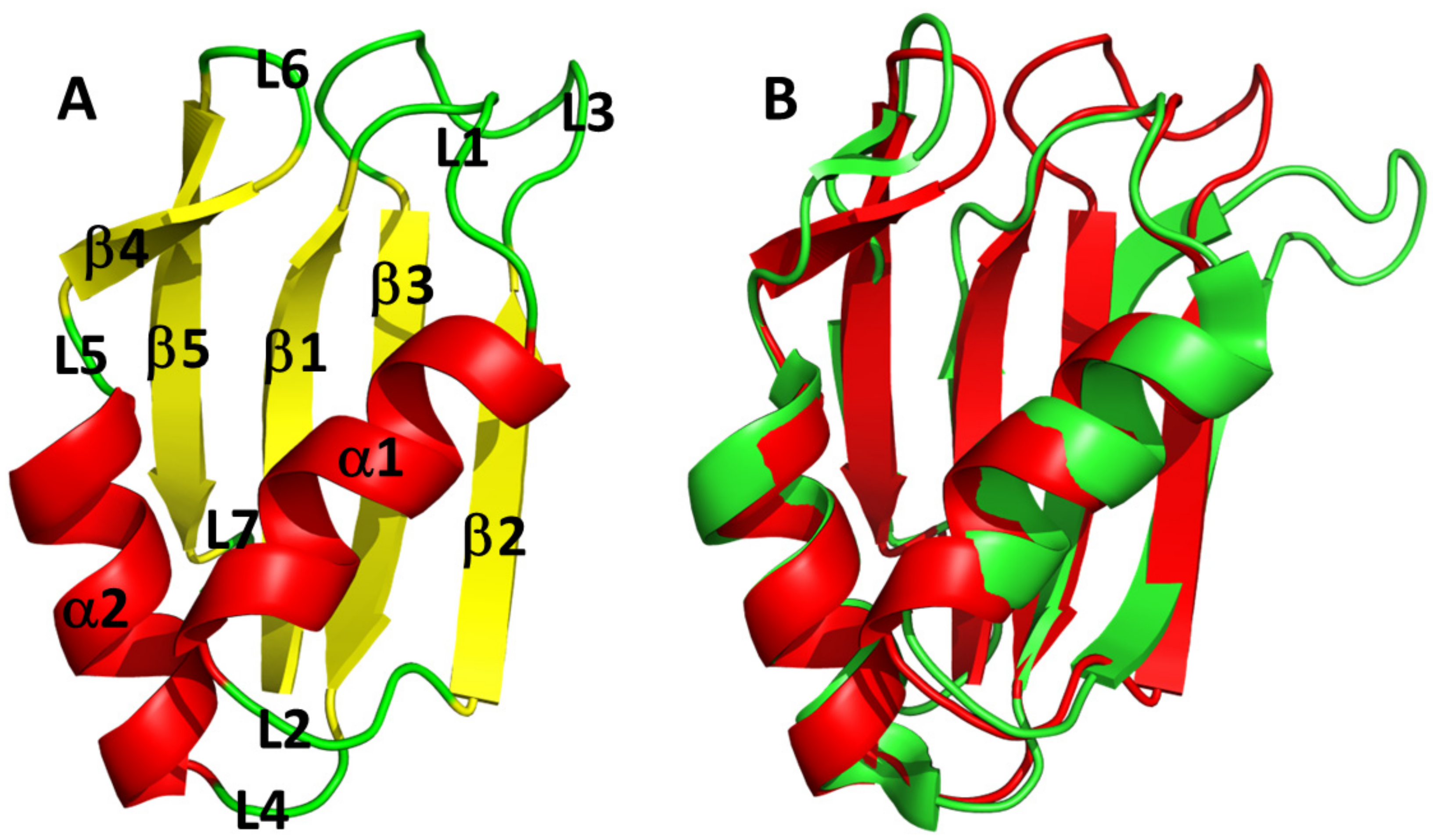 Biomolecules 12 00922 g004
