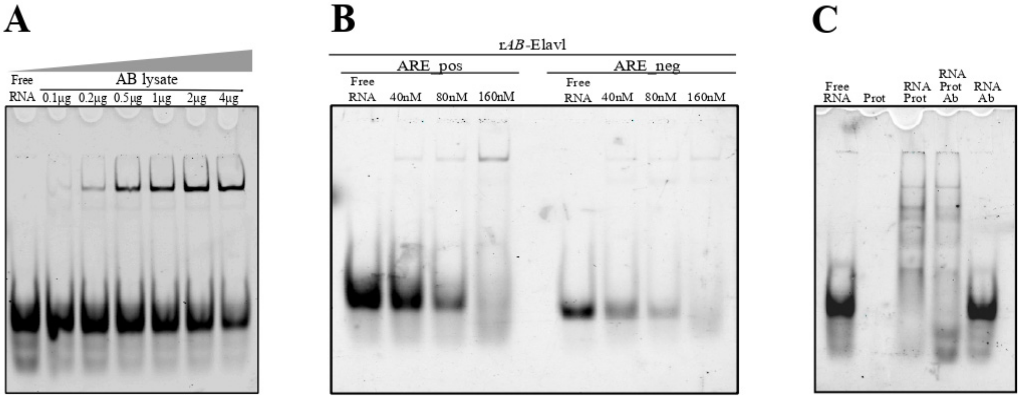 Biomolecules 12 00922 g006