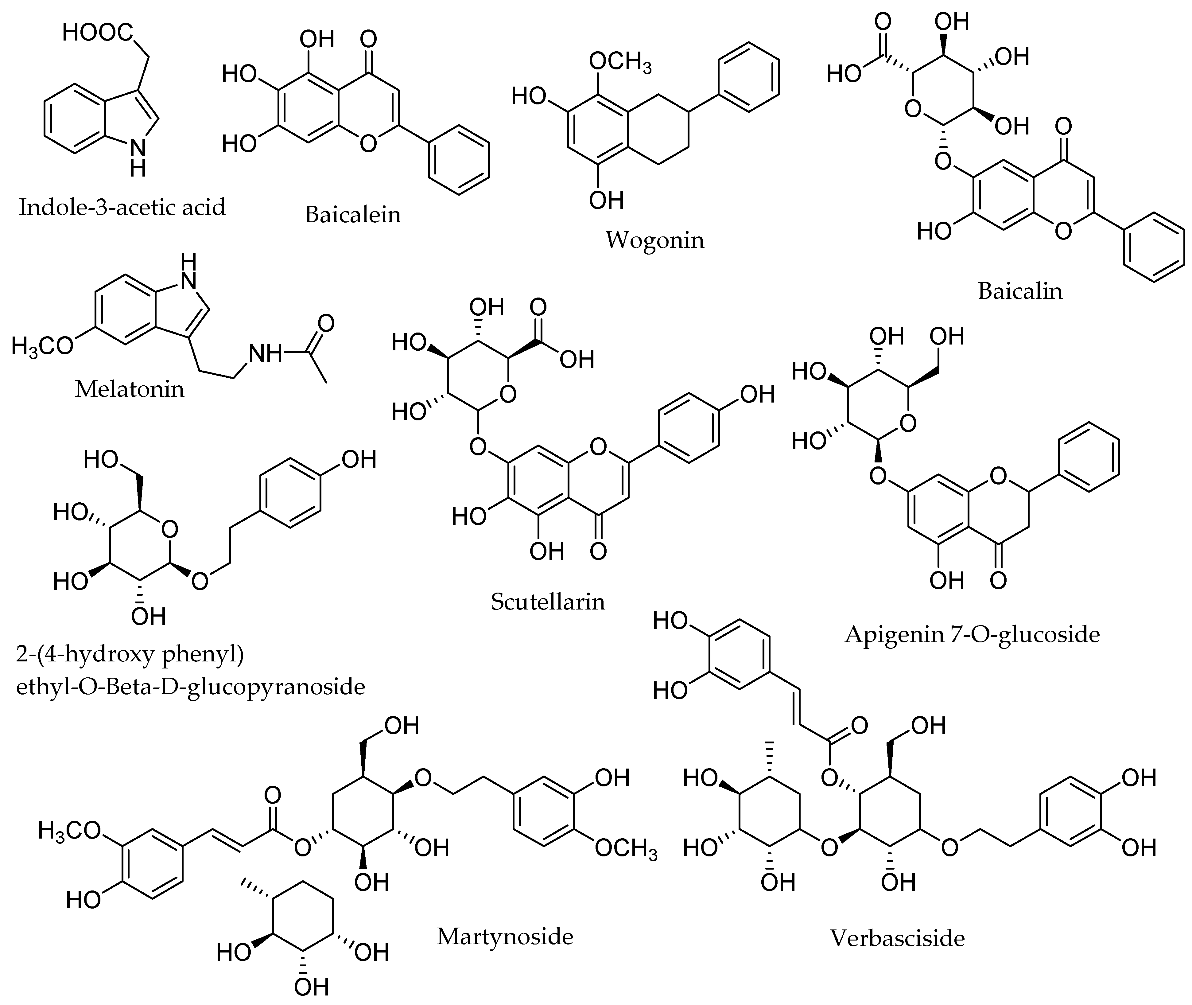 Biomolecules 12 00936 g002