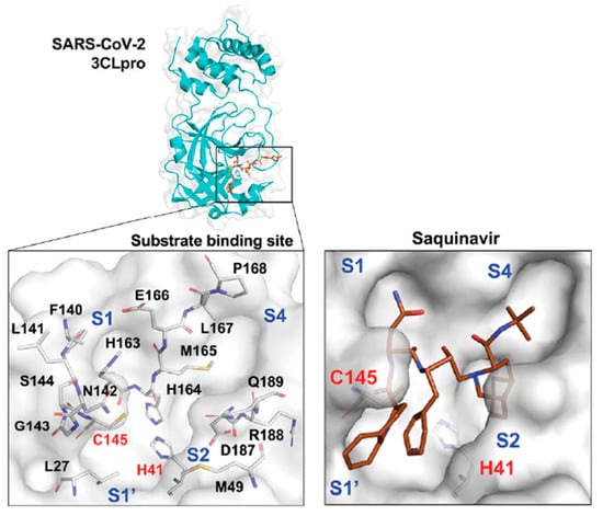 https://www.mdpi.com/biomolecules/biomolecules-12-00944/article_deploy/html/images/biomolecules-12-00944-g003-550.jpg