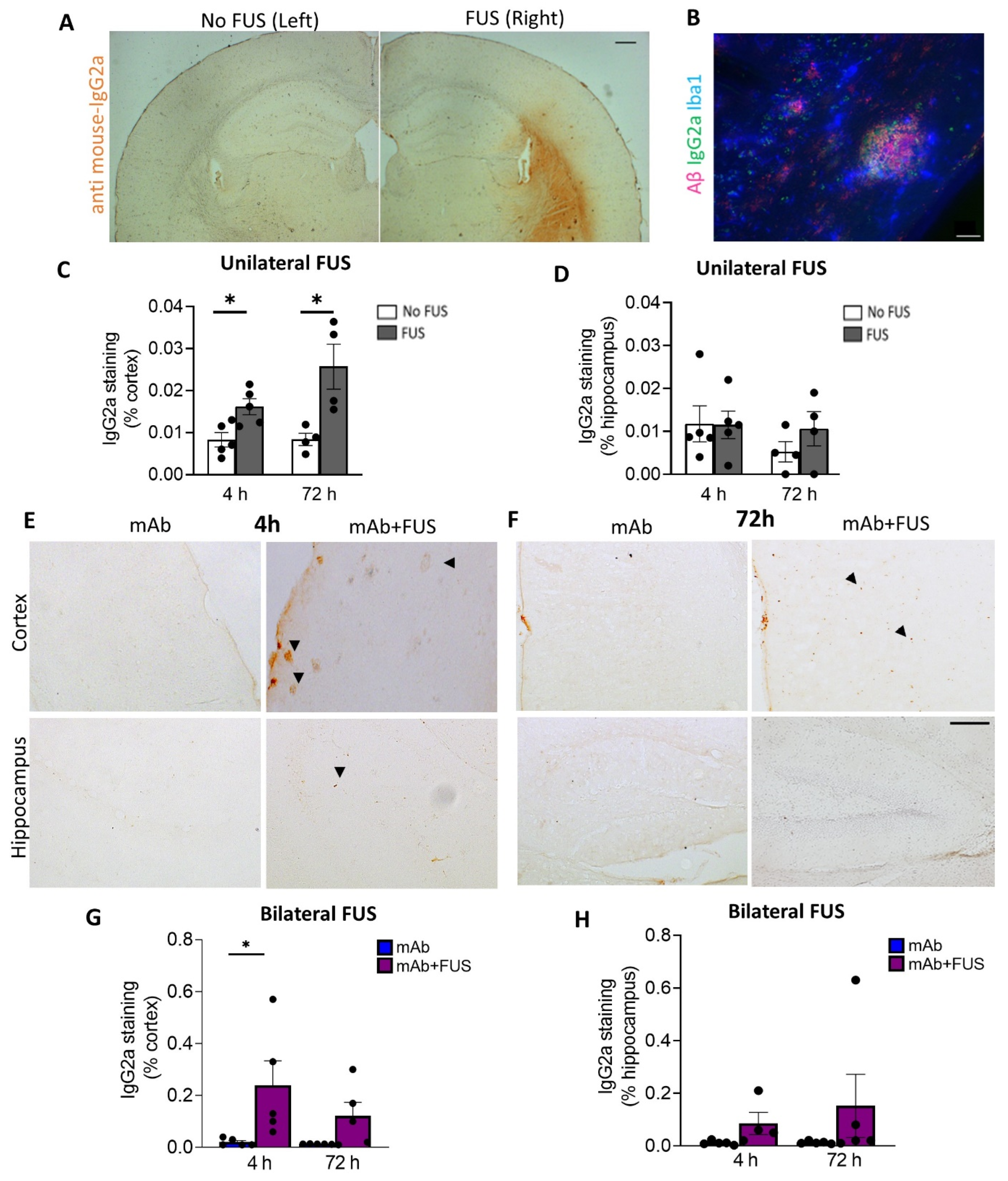 Biomolecules 12 00951 g002