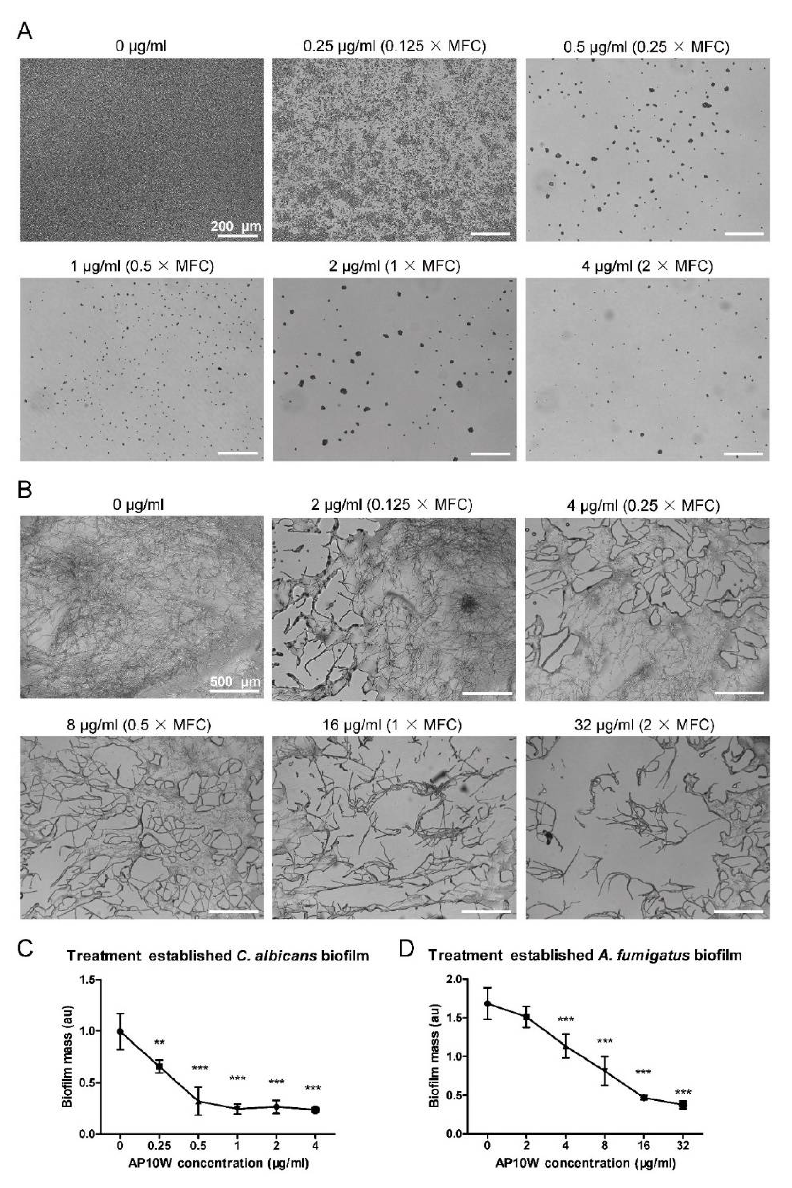 Biomolecules 12 00965 g003