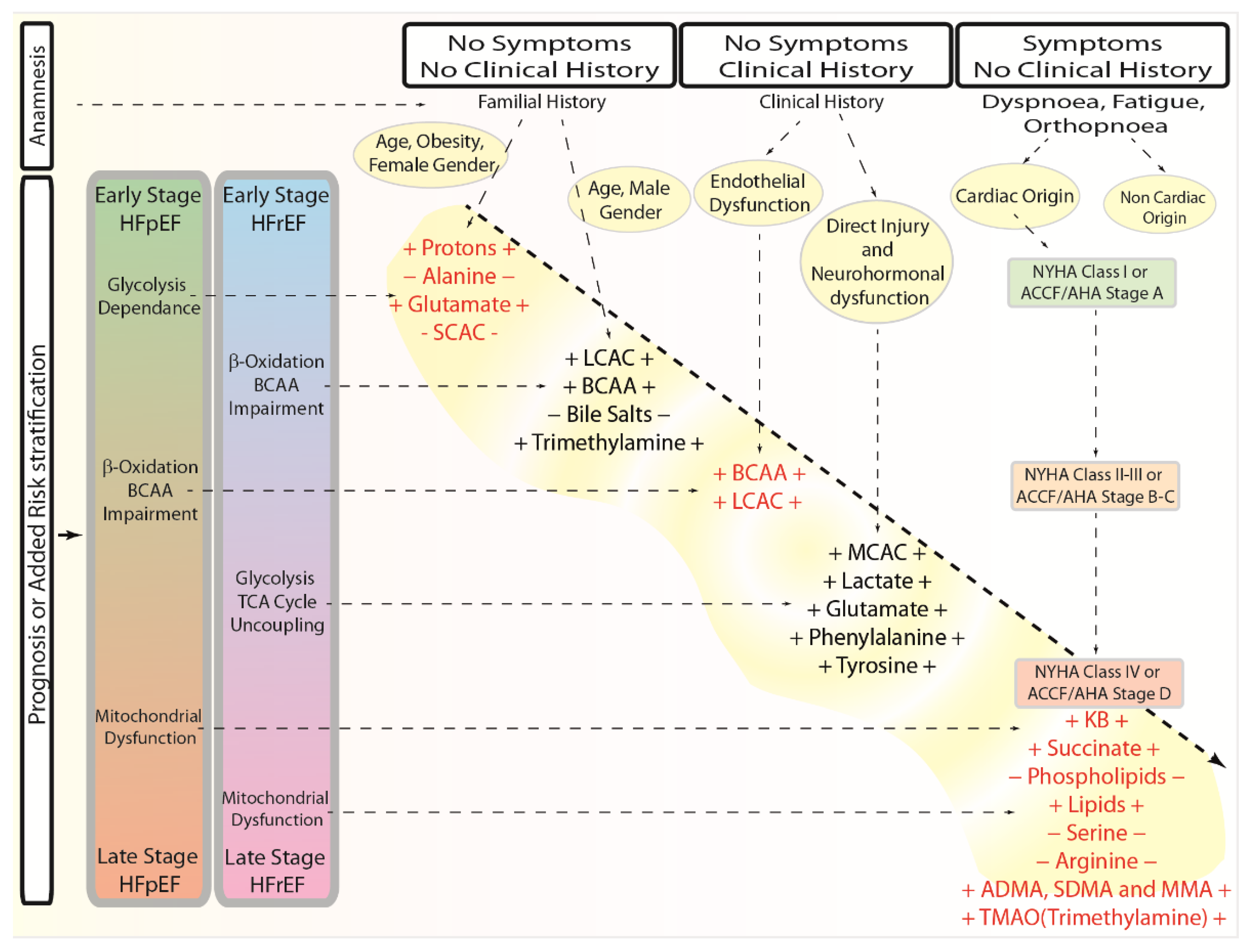Biomolecules 12 00969 g007