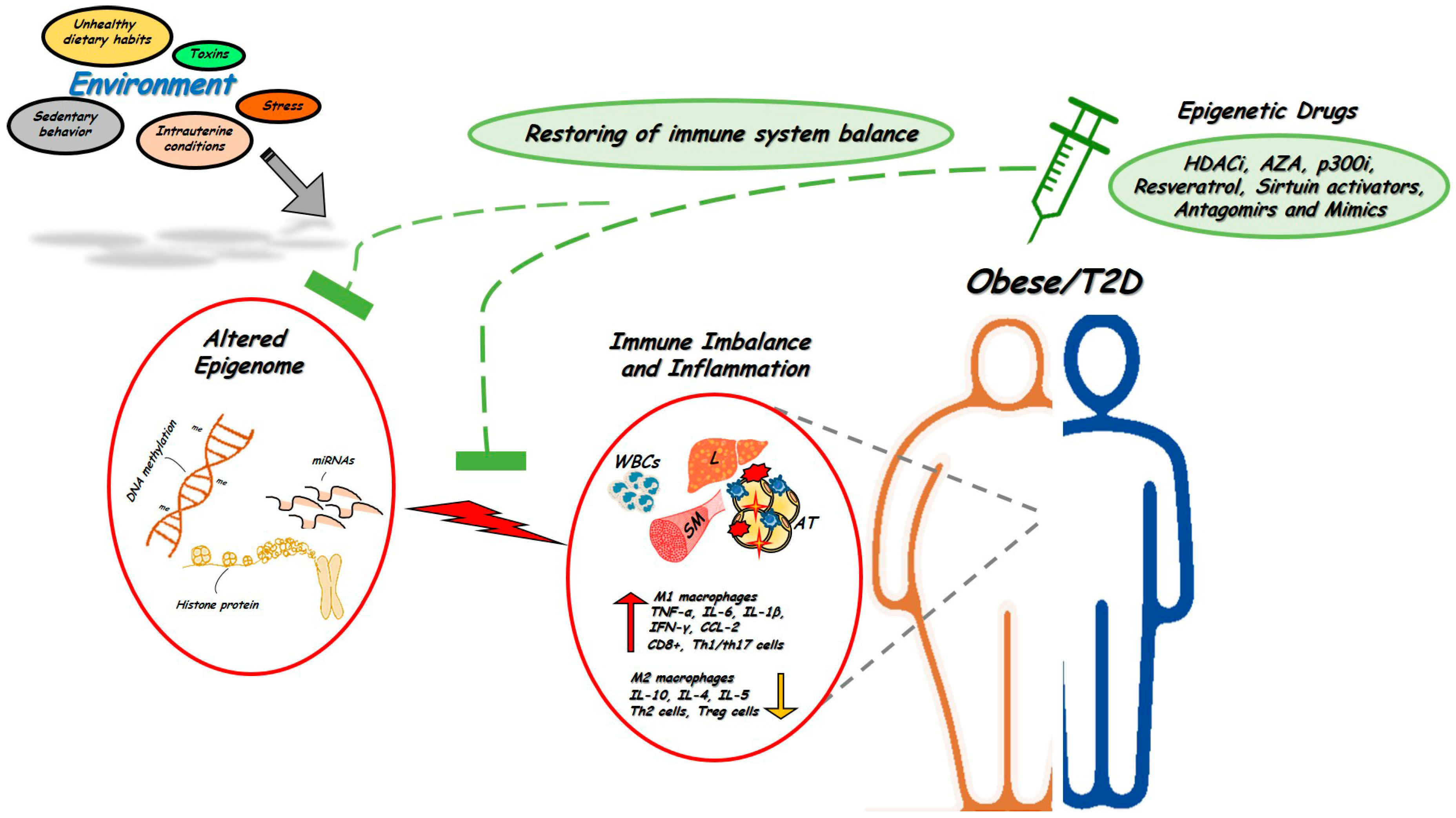 Biomolecules 12 00982 g001 Biomolecules 12 00982 g001