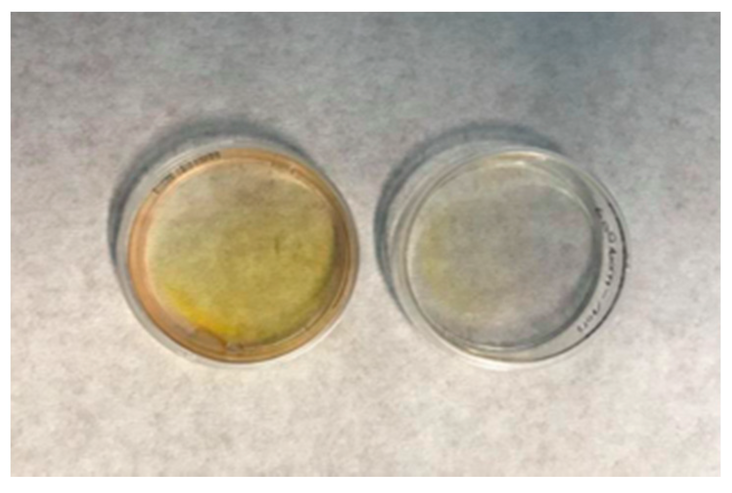 Biomolecules 12 00992 g003