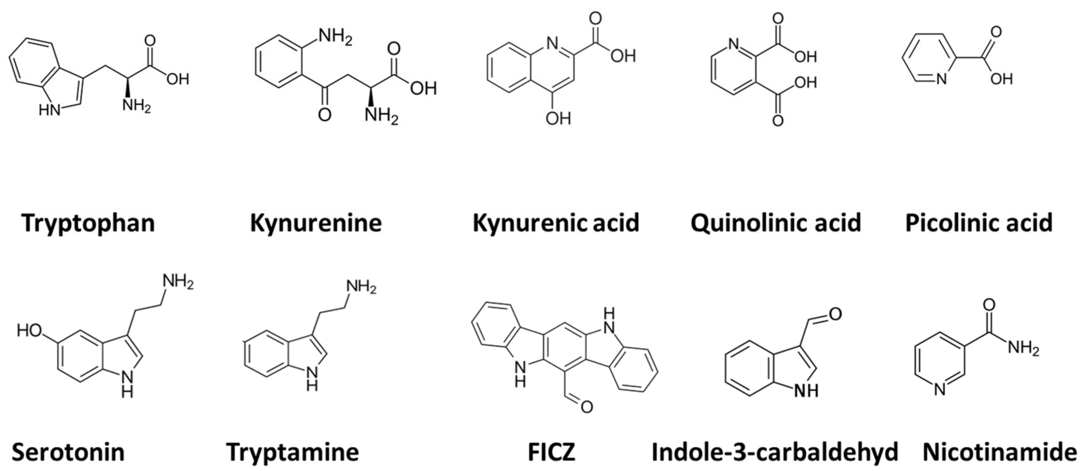 Biomolecules 12 00998 g002