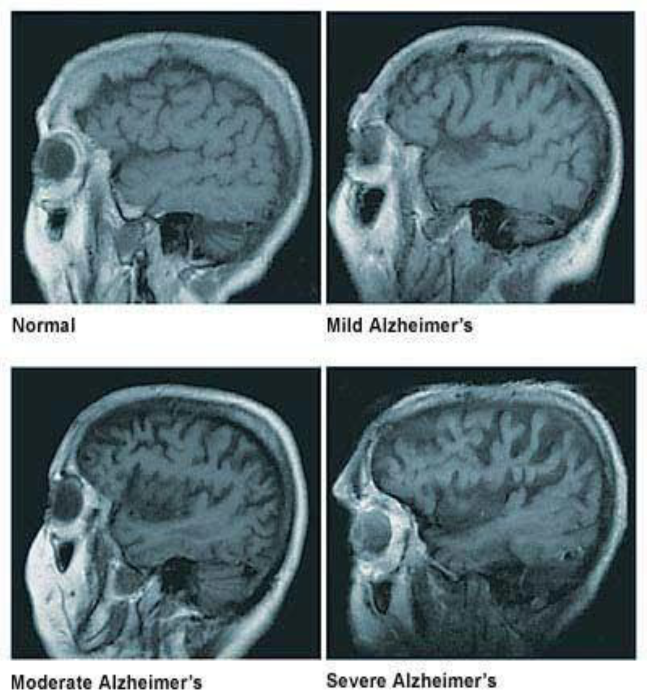 Biomolecules 12 01001 g001