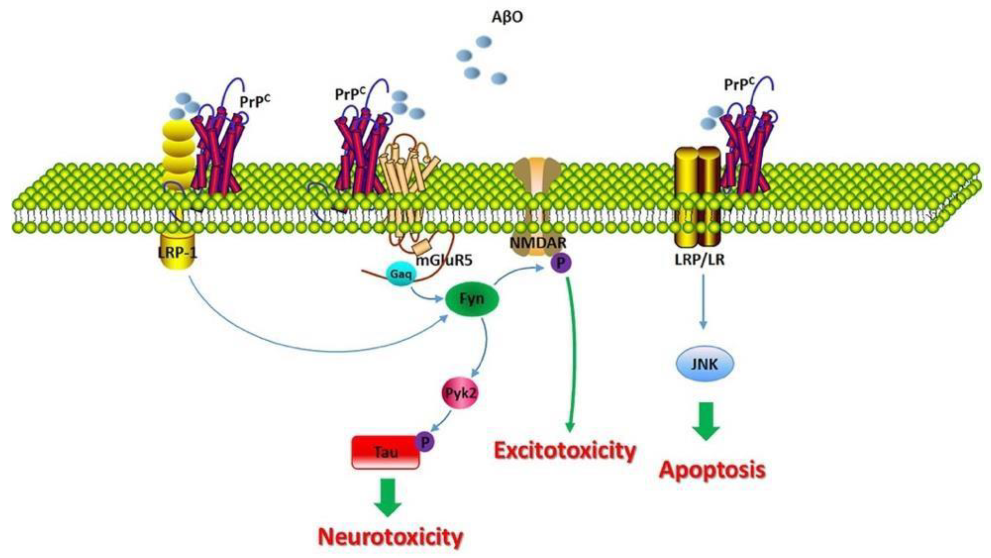 Biomolecules 12 01001 g004