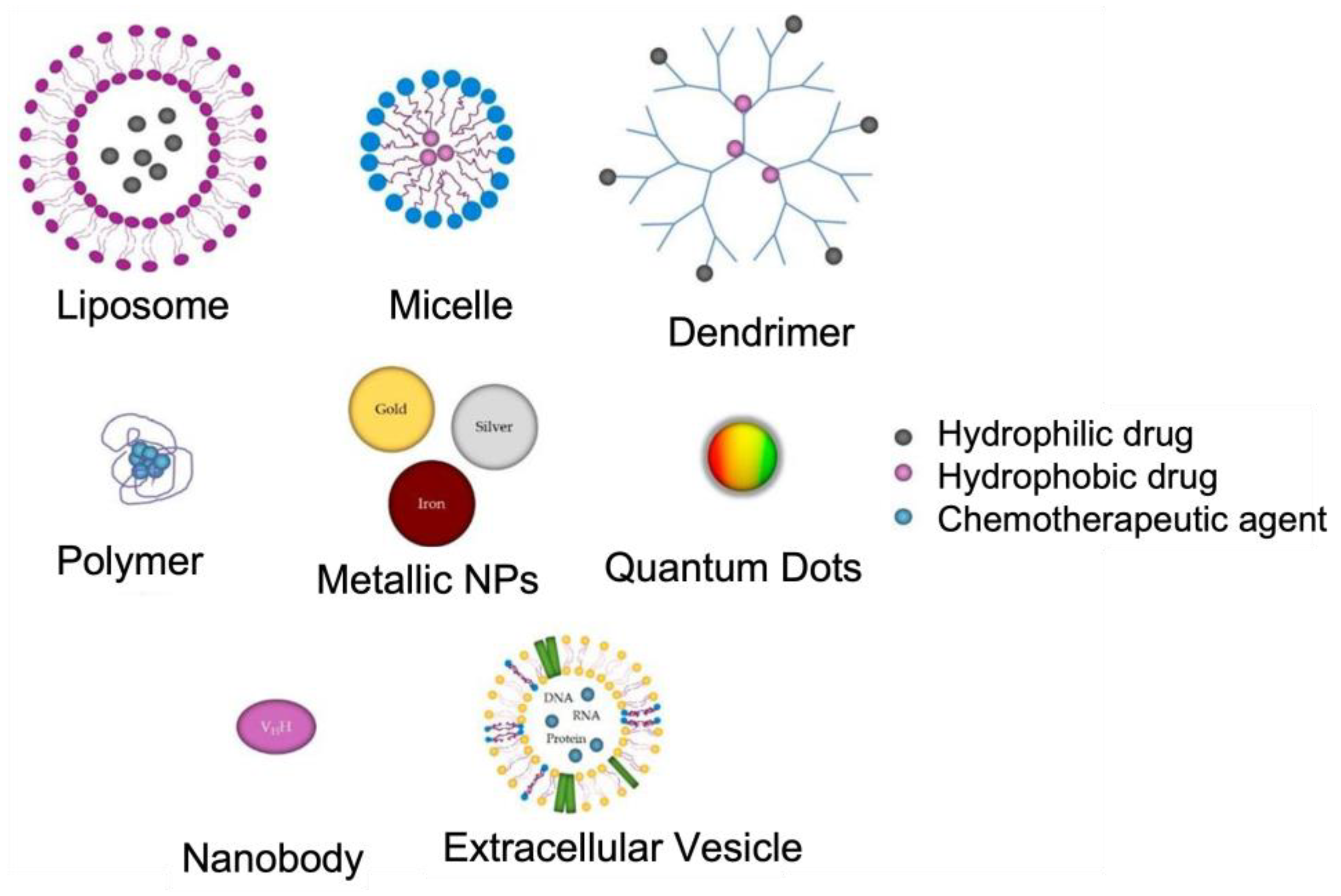 Biomolecules 12 01001 g005