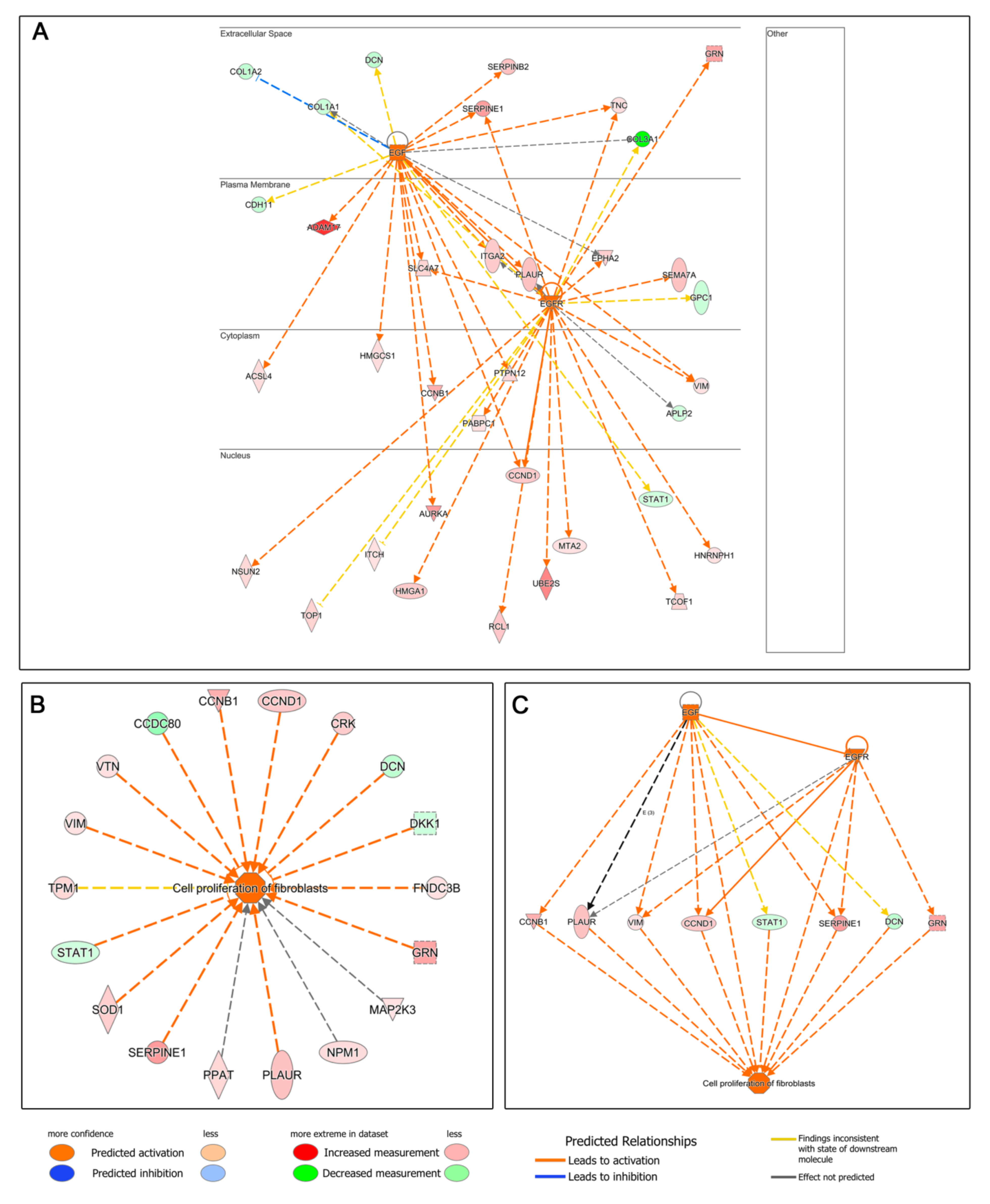 Biomolecules 12 01002 g004 Biomolecules 12 01002 g004