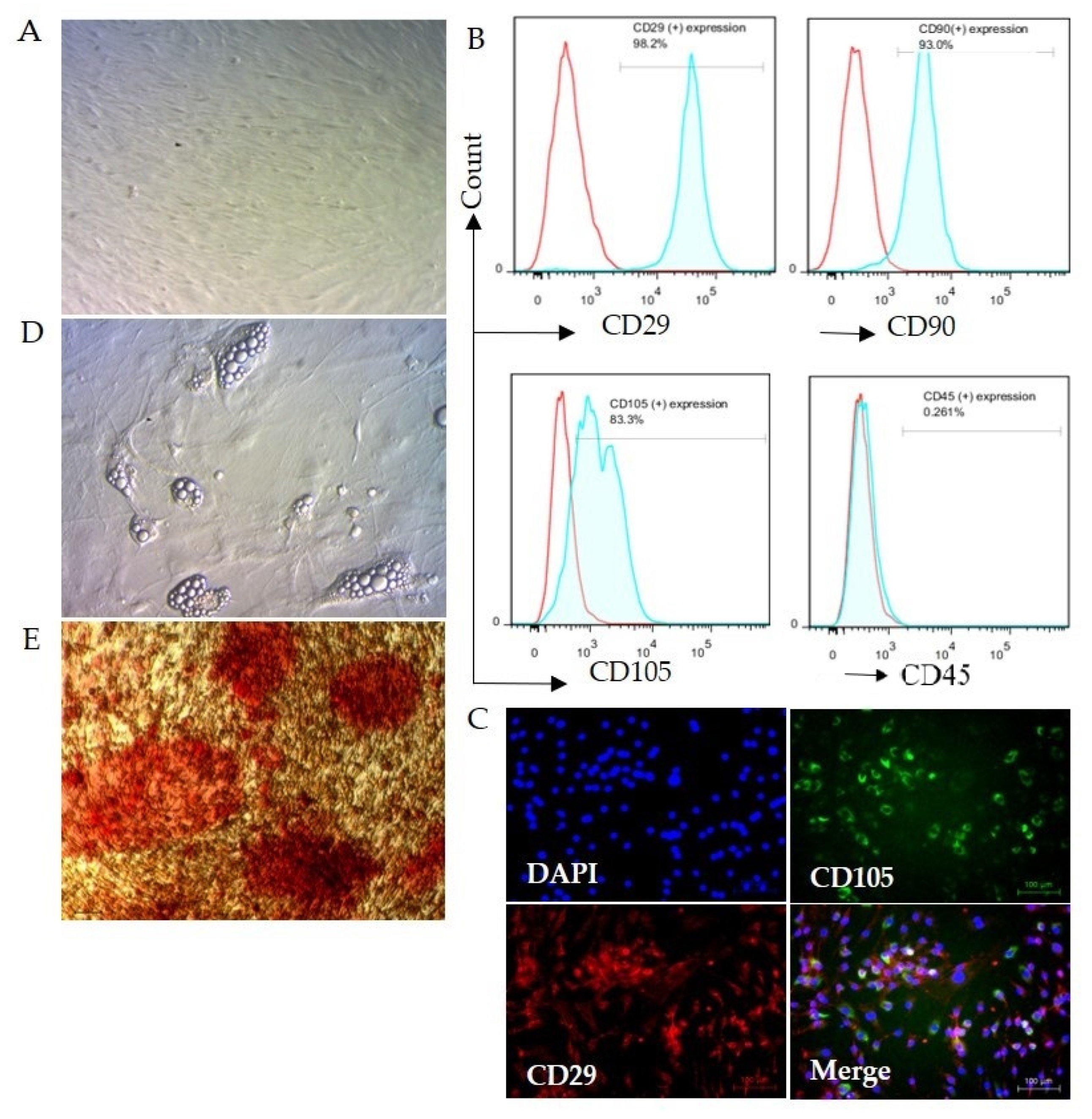 Biomolecules 12 01008 g002 Biomolecules 12 01008 g002