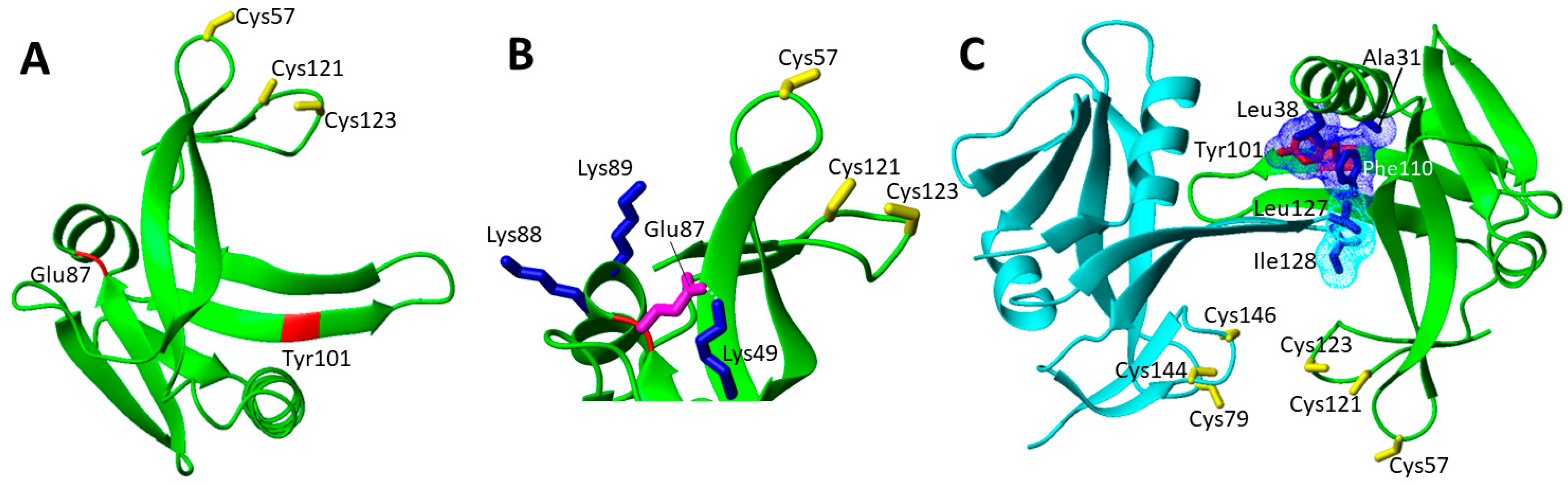 Biomolecules 12 01009 g008 Biomolecules 12 01009 g008