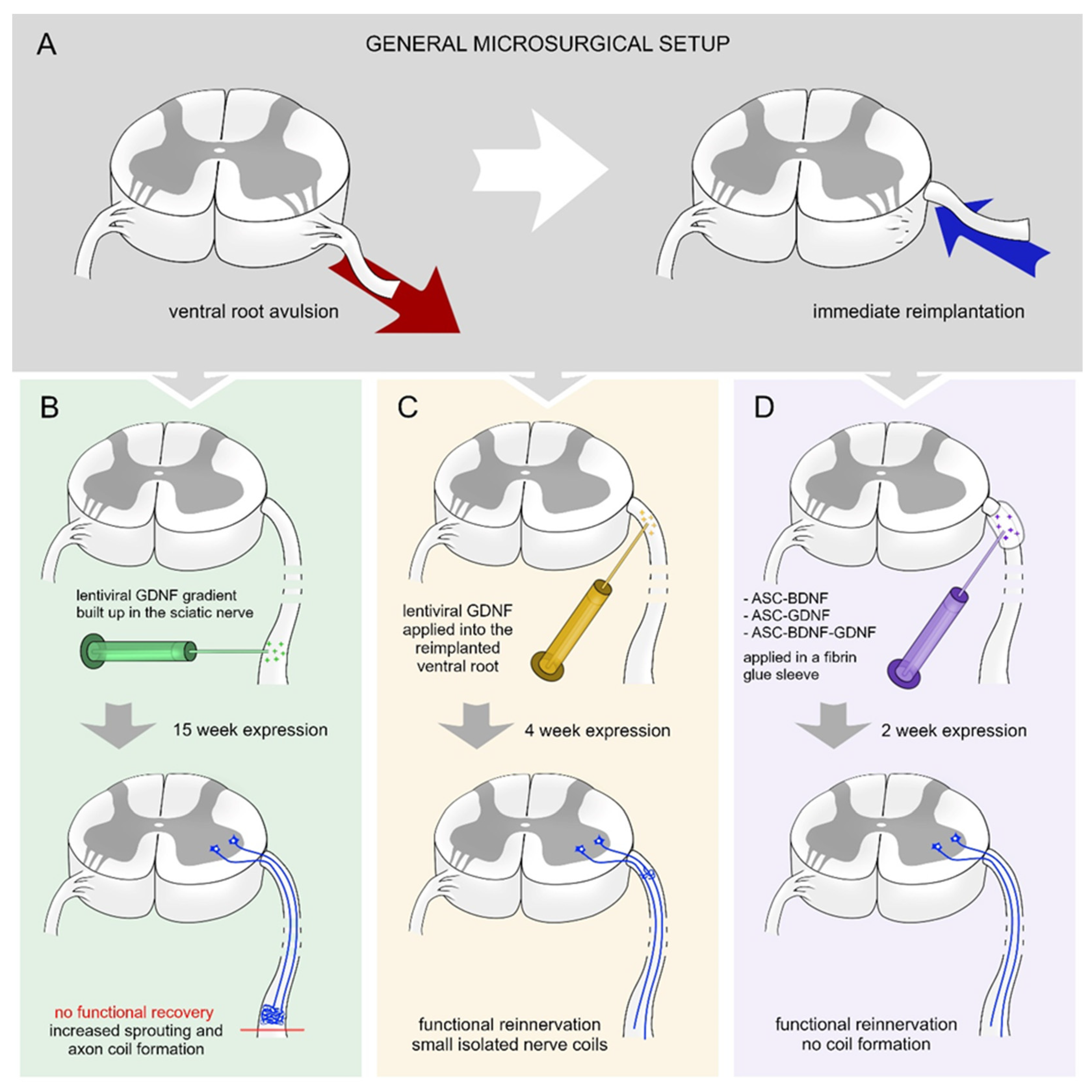 Biomolecules 12 01015 g001