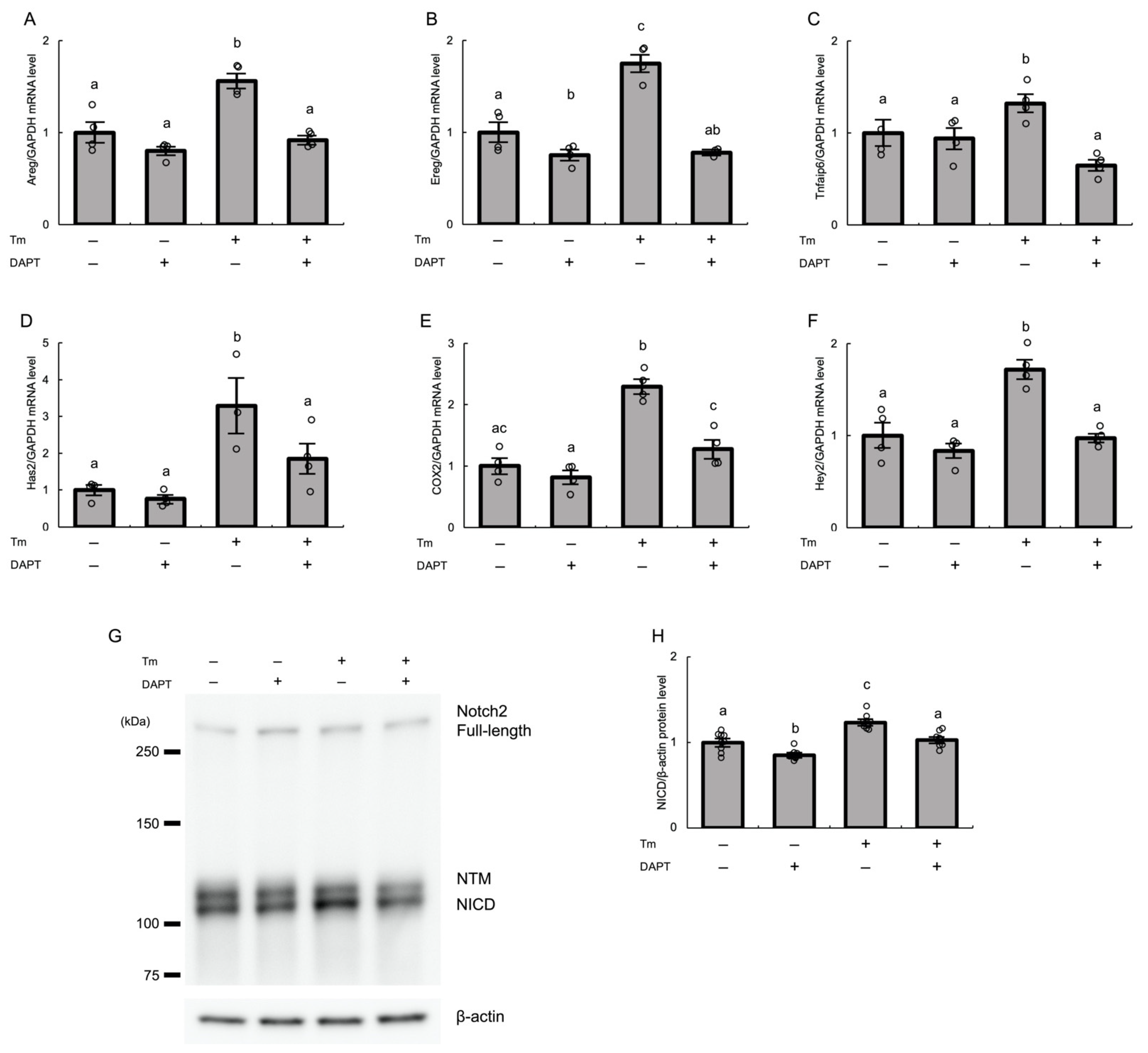 Biomolecules 12 01037 g005 Biomolecules 12 01037 g005