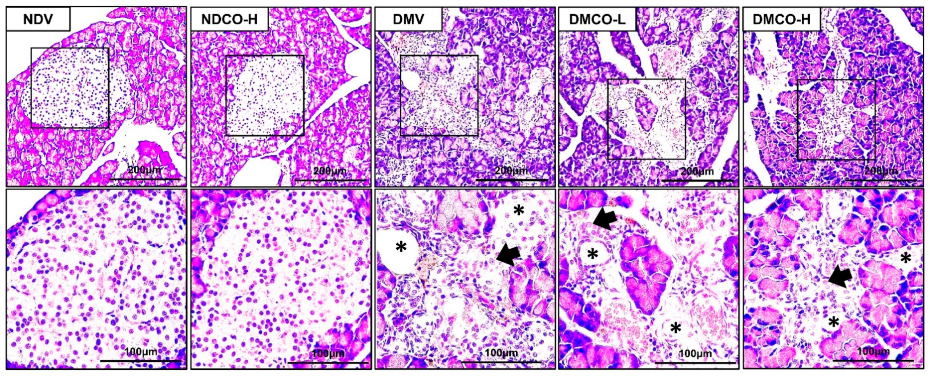 Biomolecules 12 01068 g001