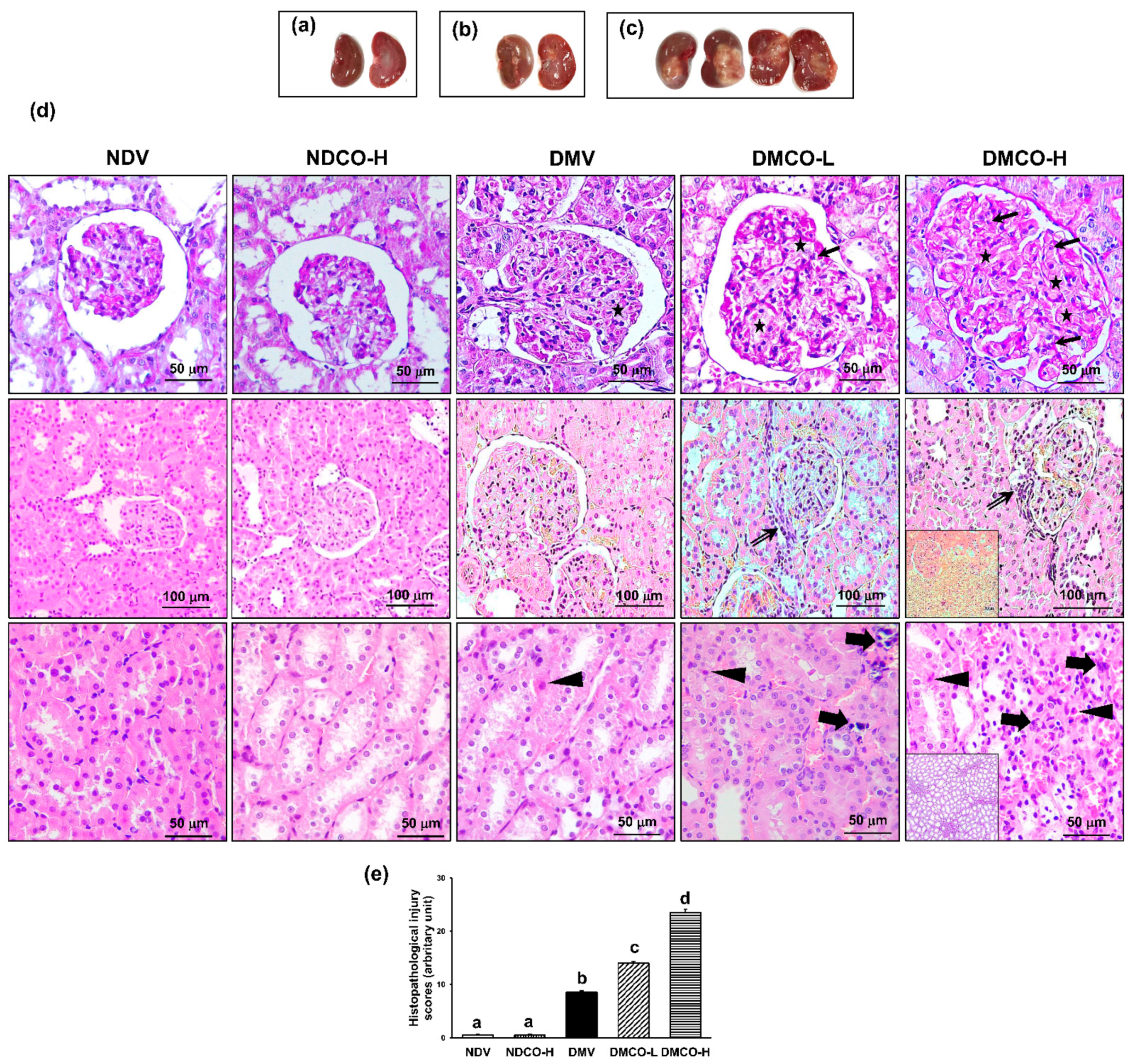 Biomolecules 12 01068 g003