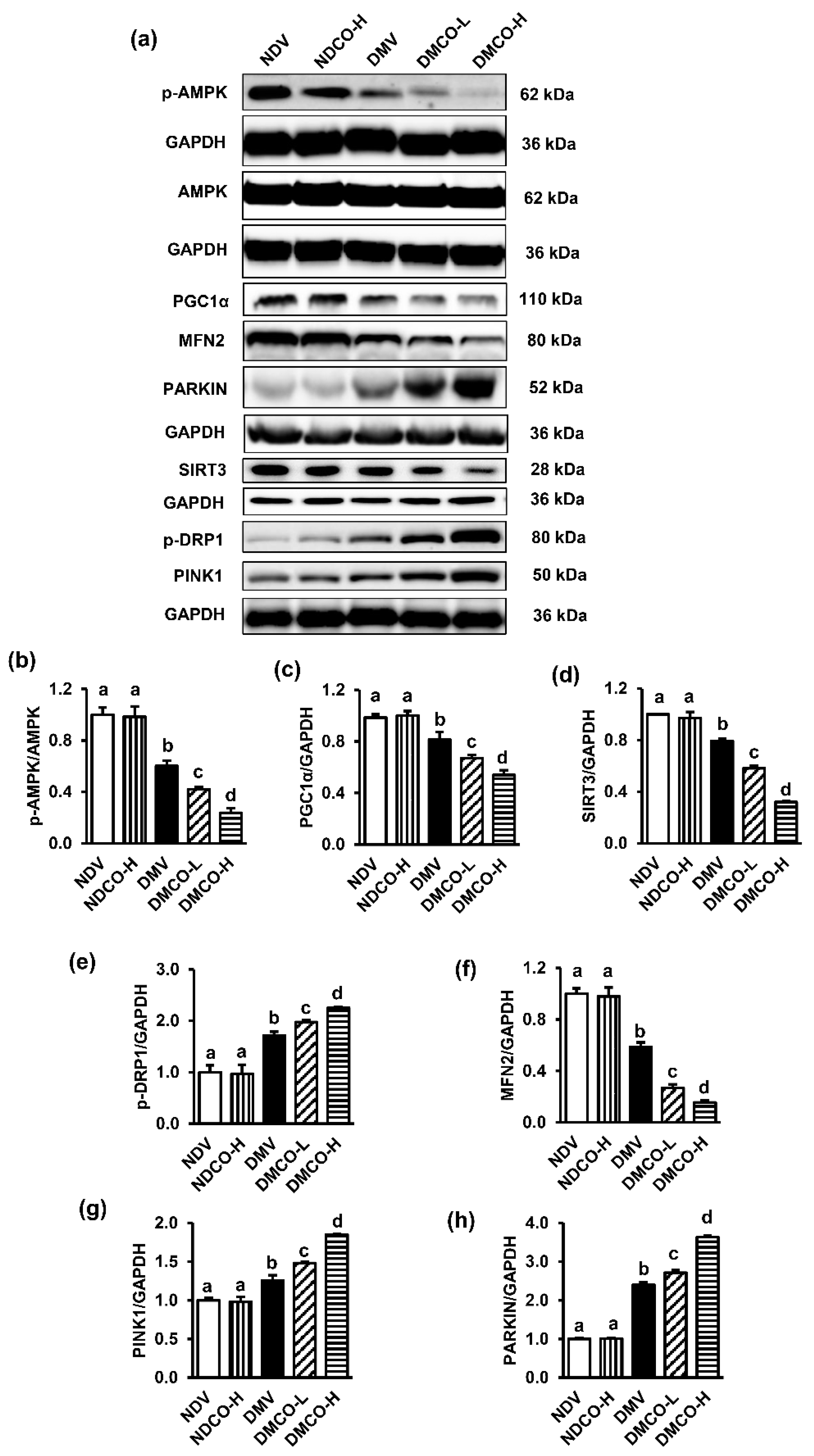 Biomolecules 12 01068 g005