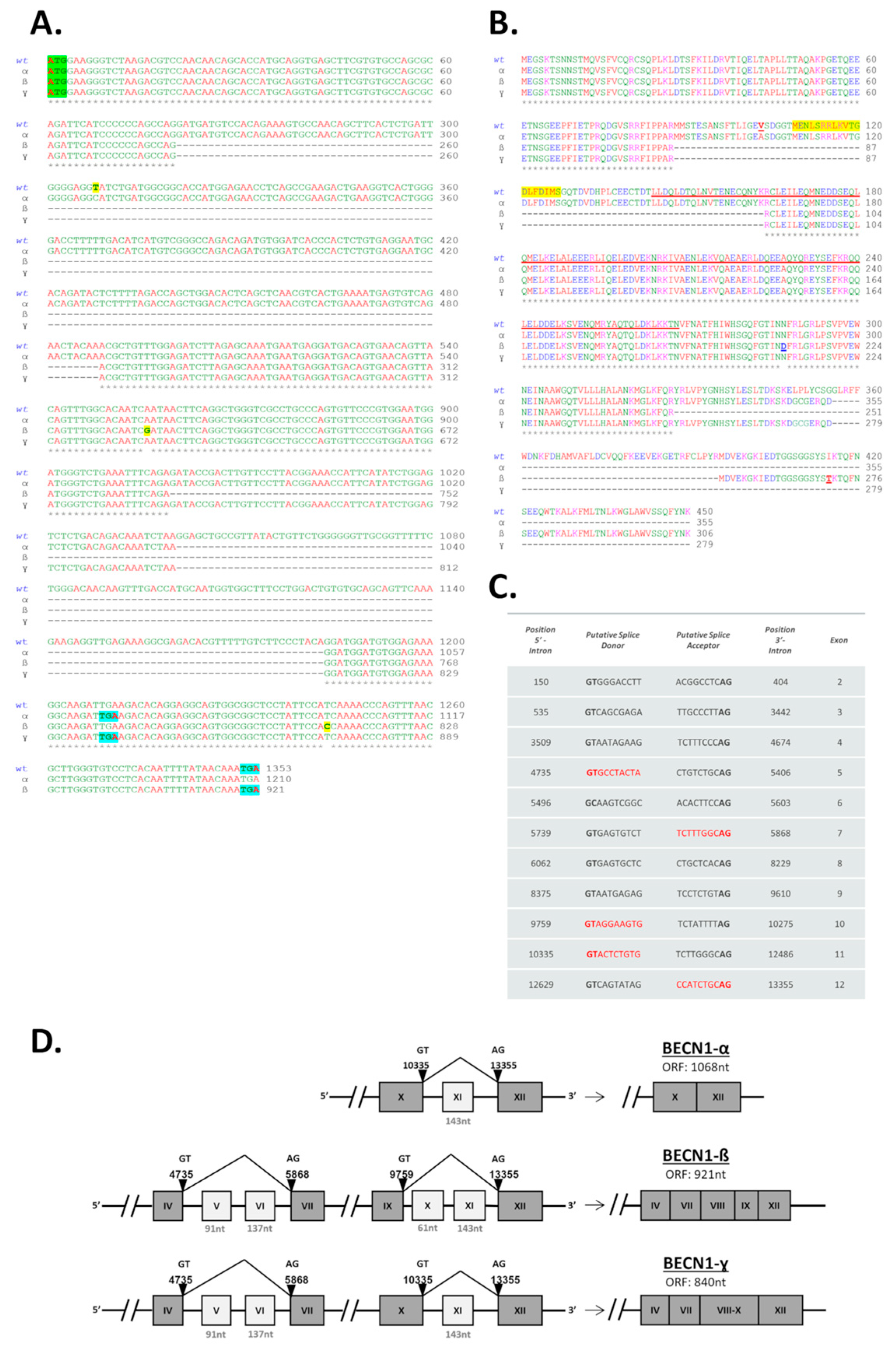 Biomolecules 12 01069 g002 Biomolecules 12 01069 g002