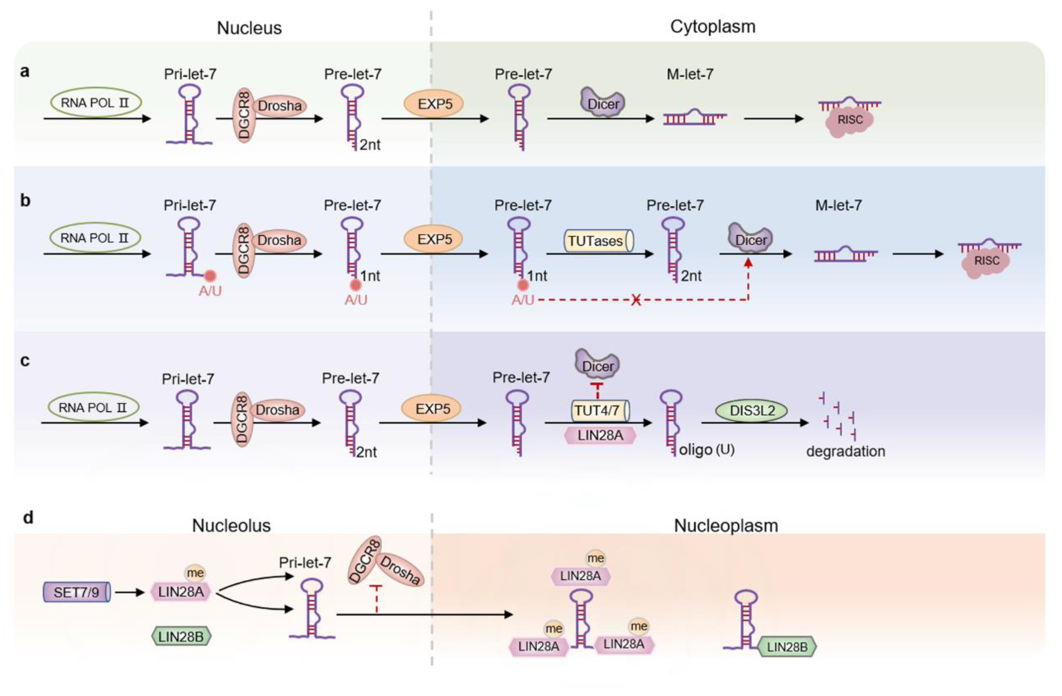 Biomolecules 12 01070 g002 Biomolecules 12 01070 g002