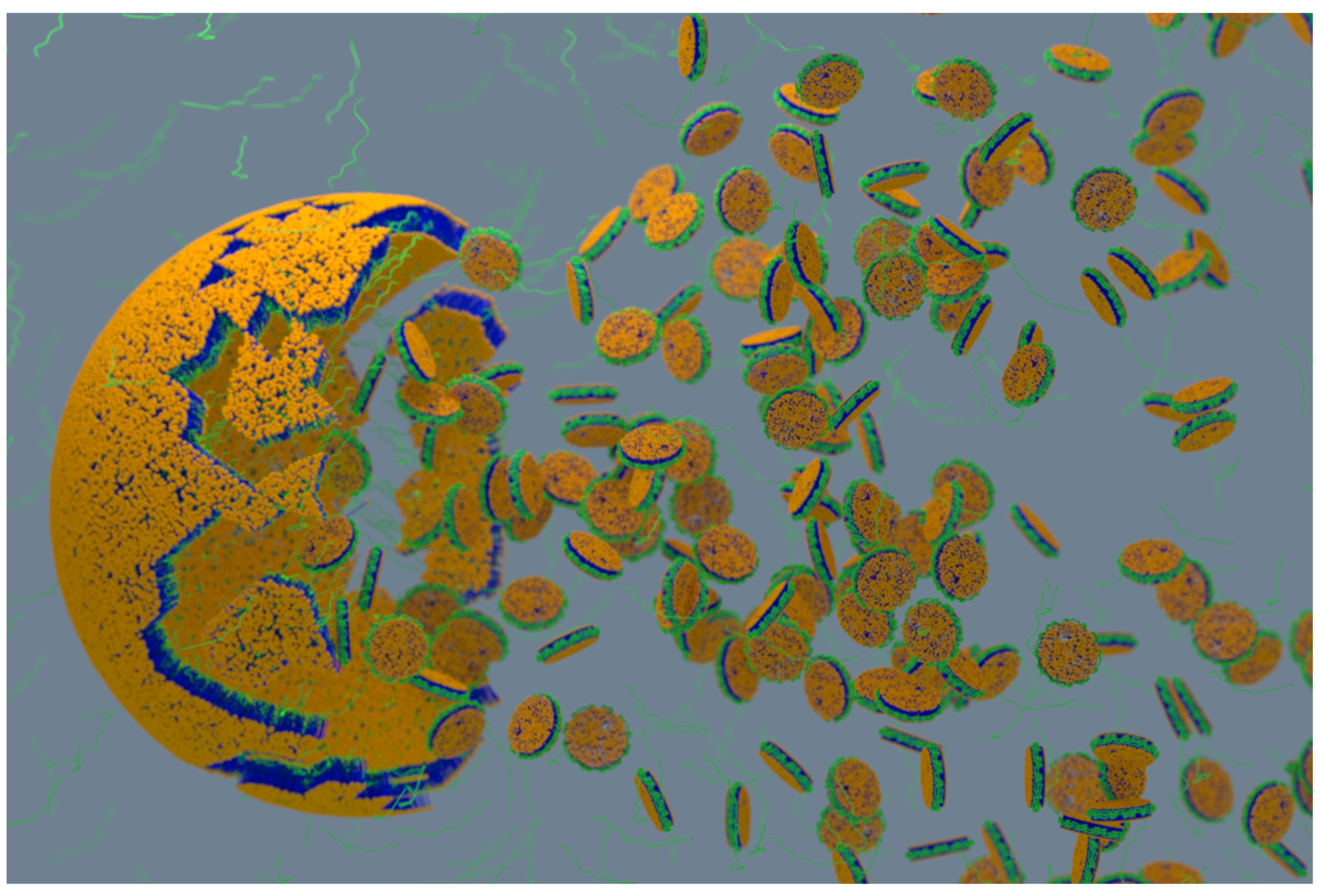 Biomolecules 12 01076 g006