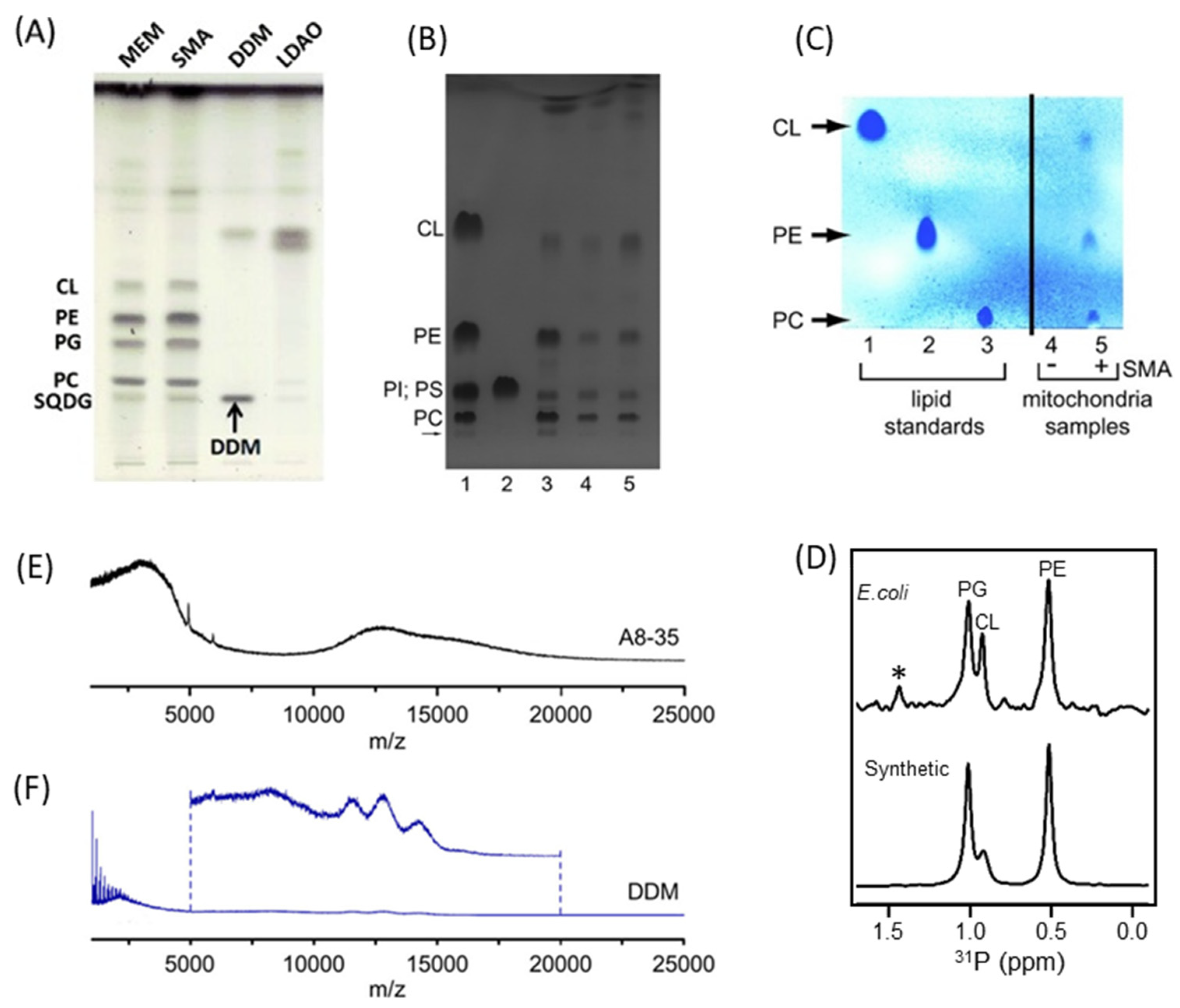 Biomolecules 12 01076 g007