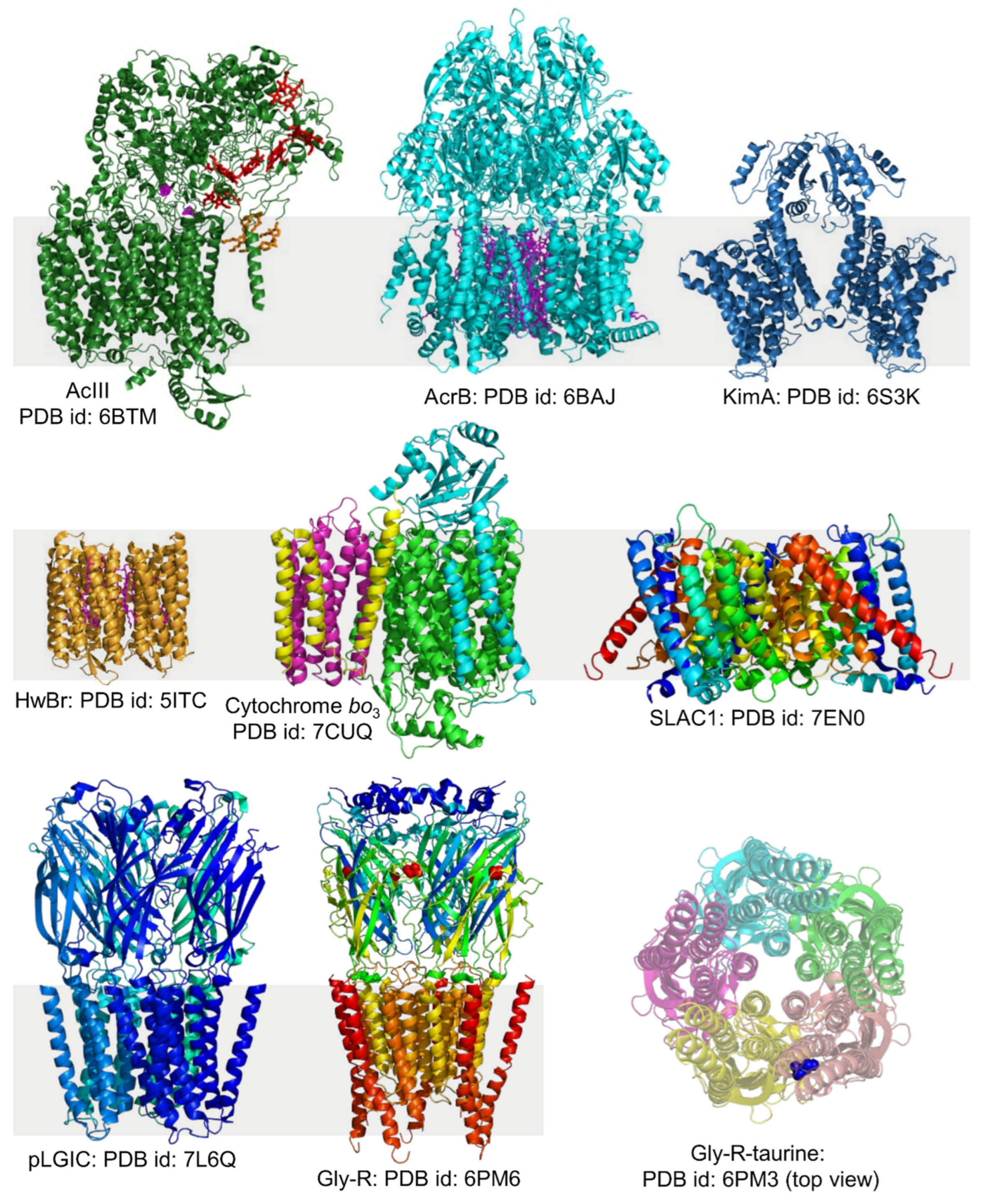Biomolecules 12 01076 g008a