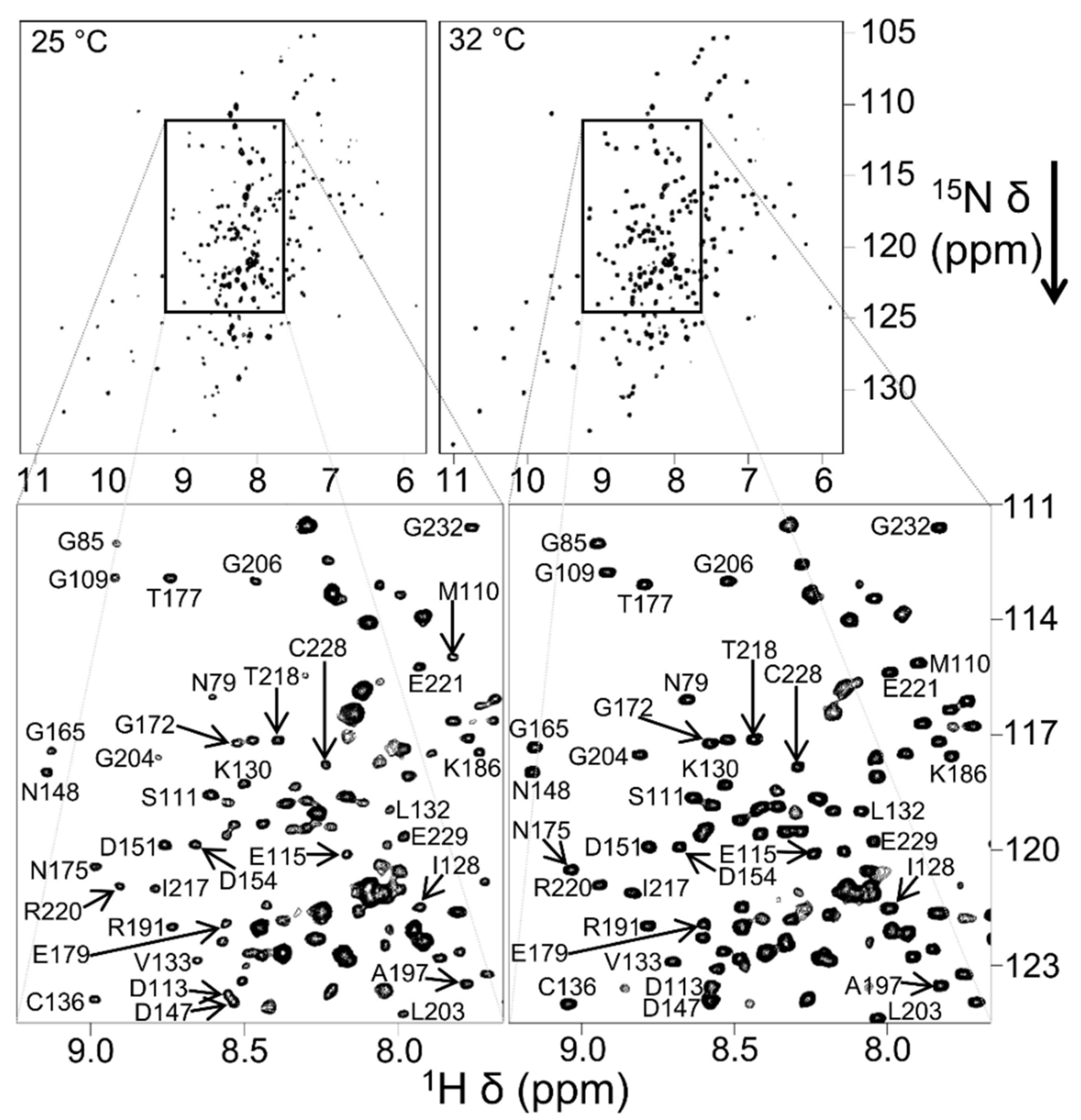 Biomolecules 12 01076 g015