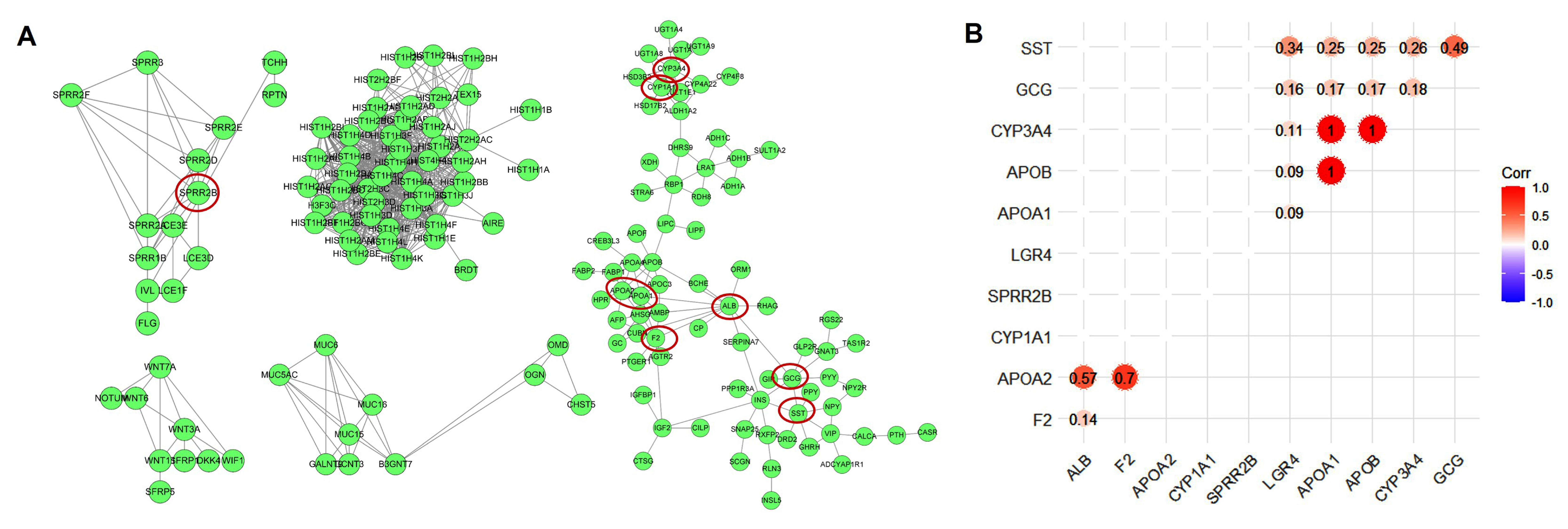 Biomolecules 12 01081 g004