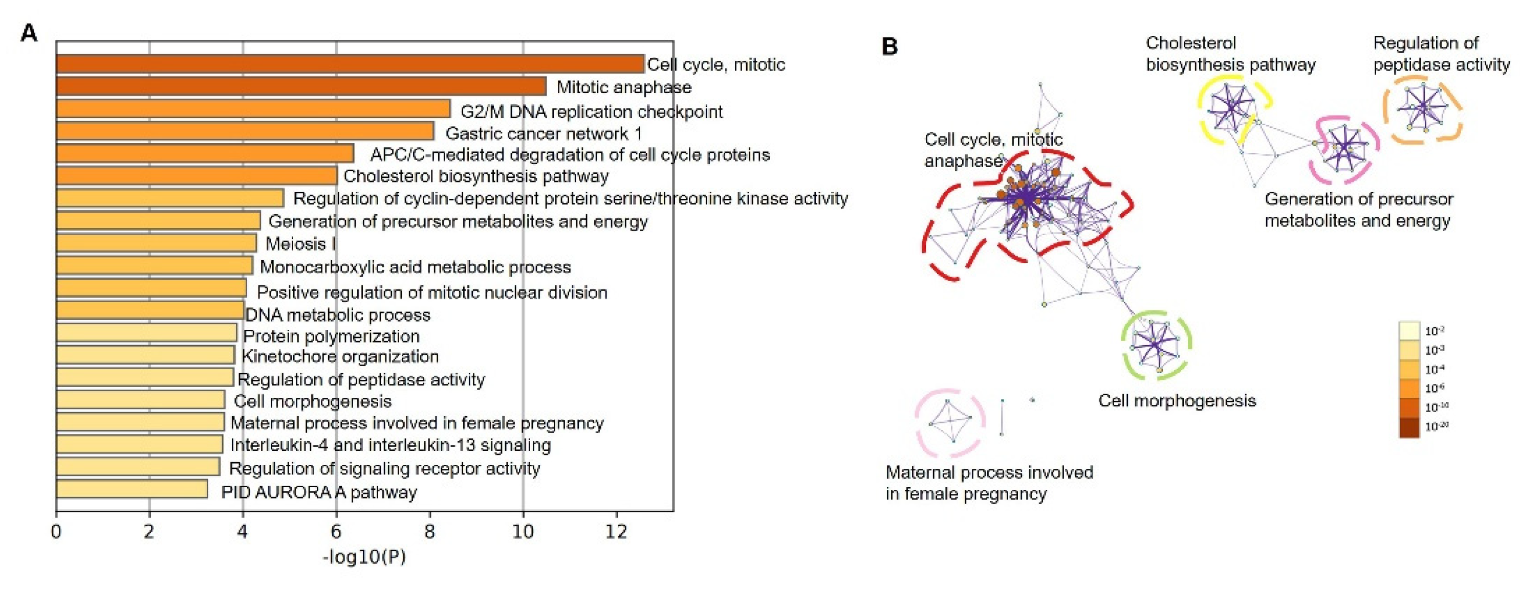 Biomolecules 12 01081 g005
