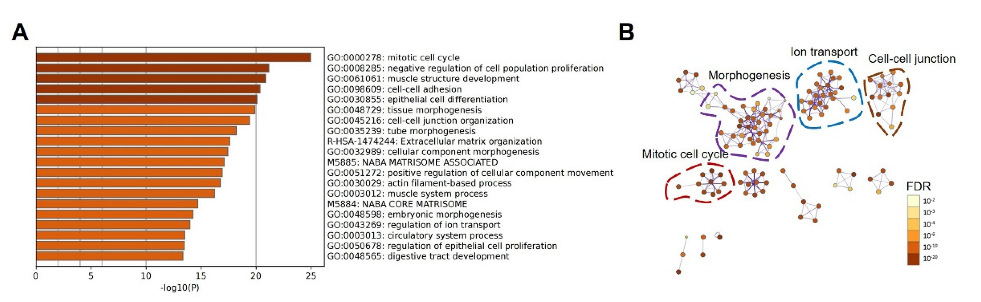 Biomolecules 12 01081 g006