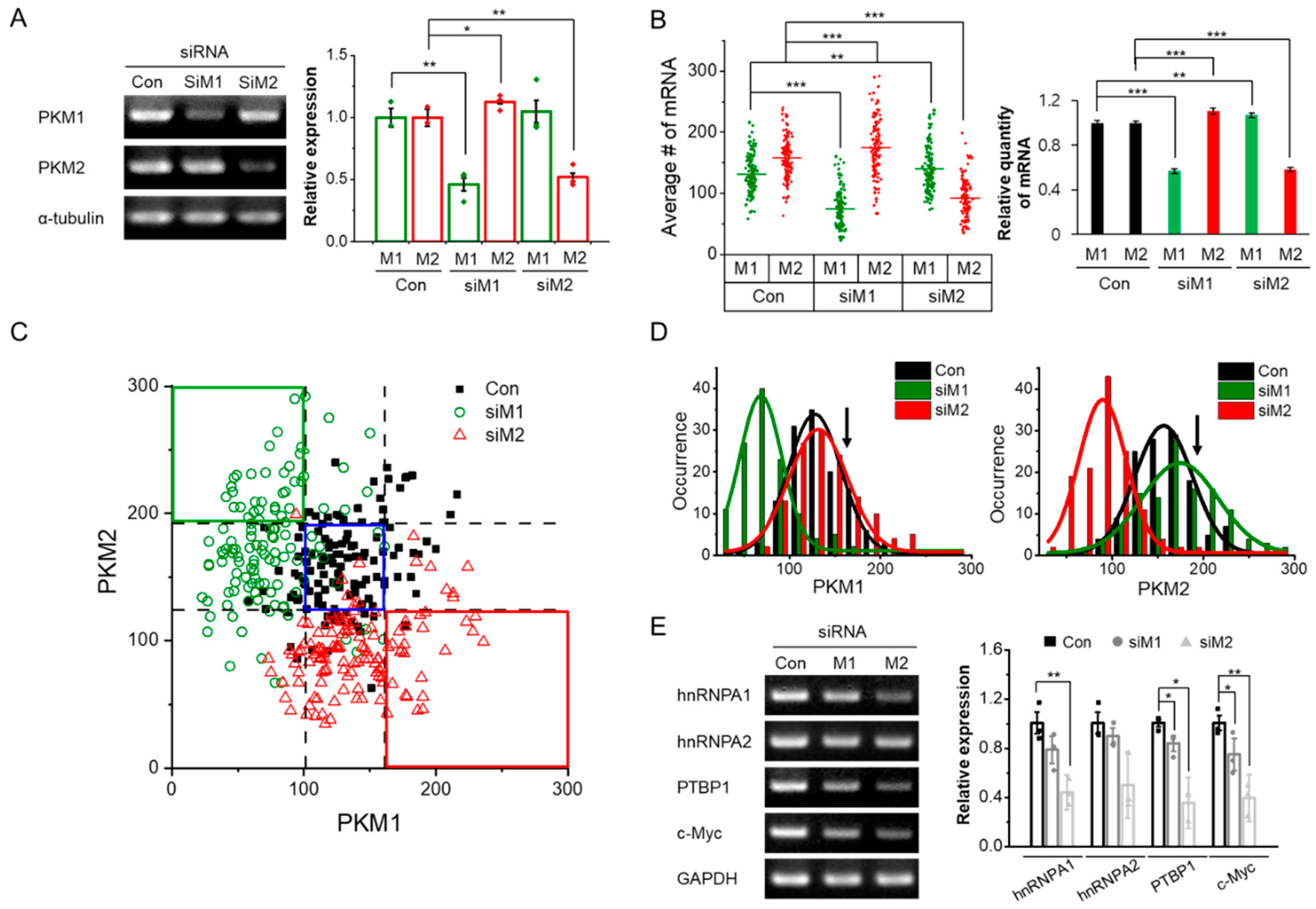 Biomolecules 12 01082 g002