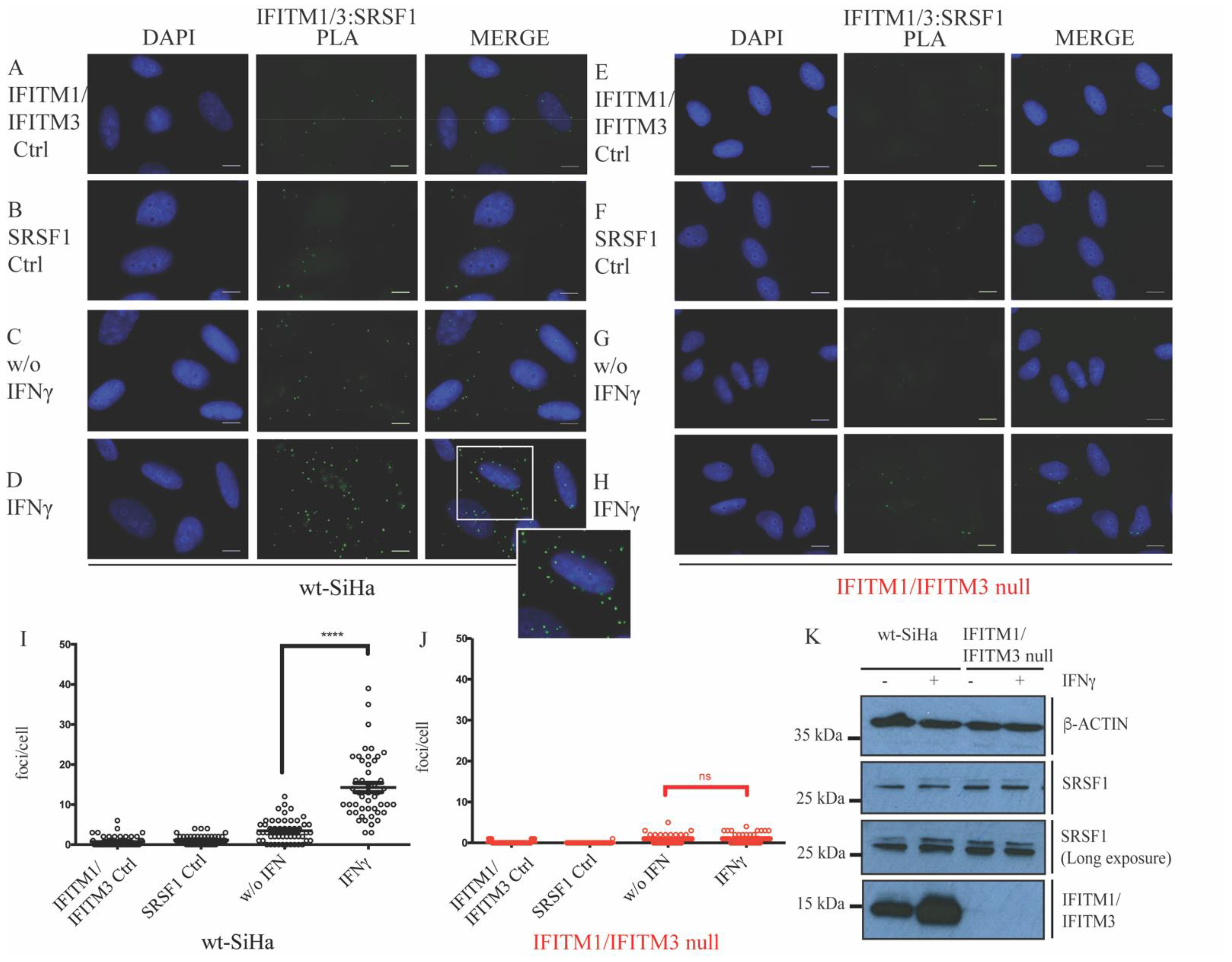 Biomolecules 12 01090 g001