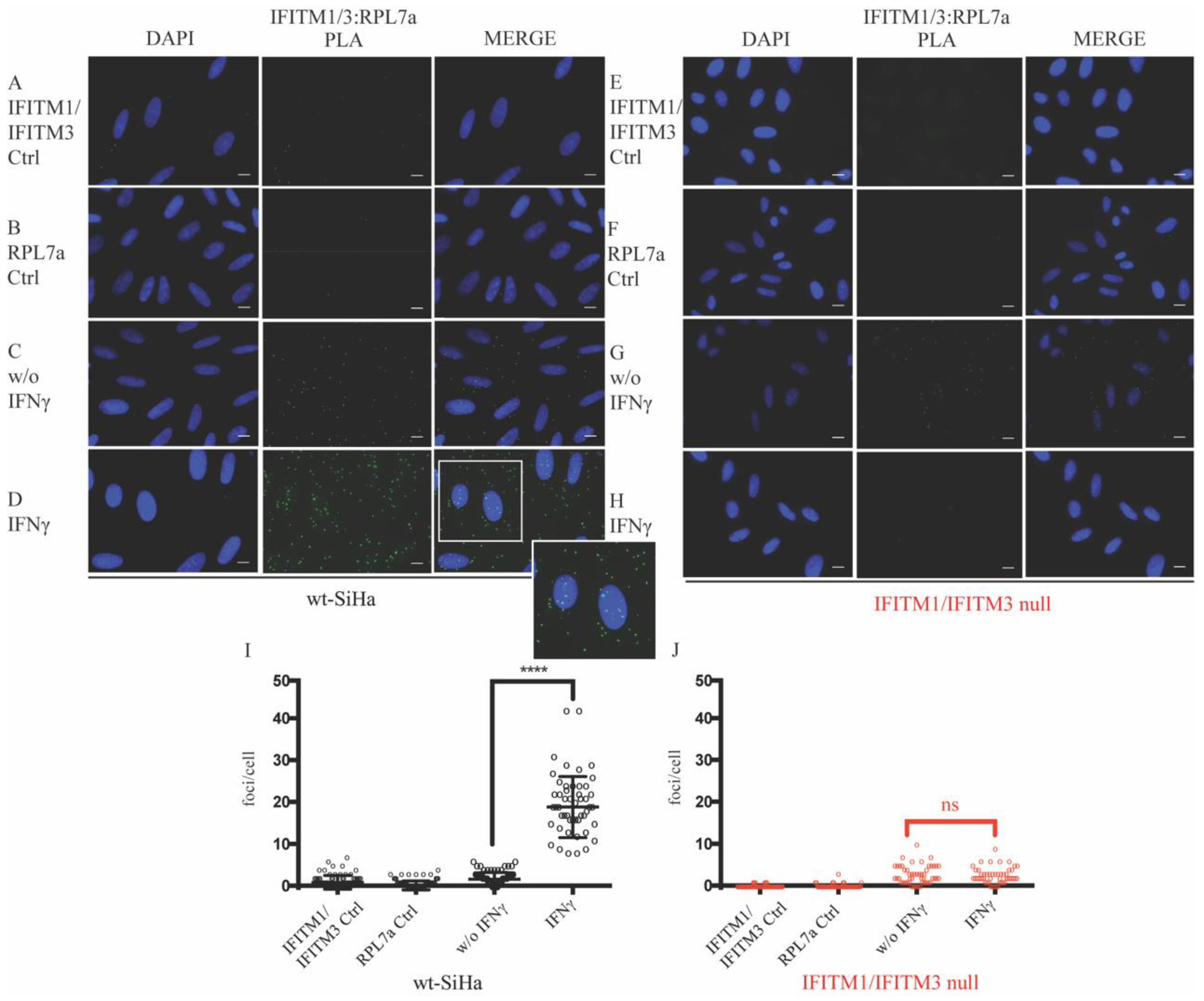 Biomolecules 12 01090 g004