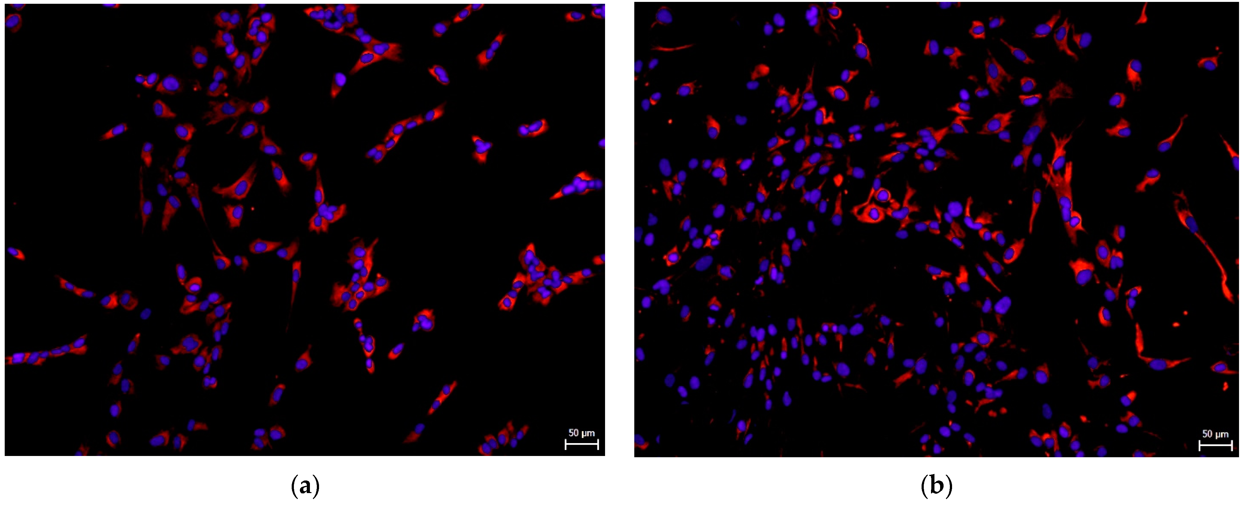 Biomolecules 12 01091 g006