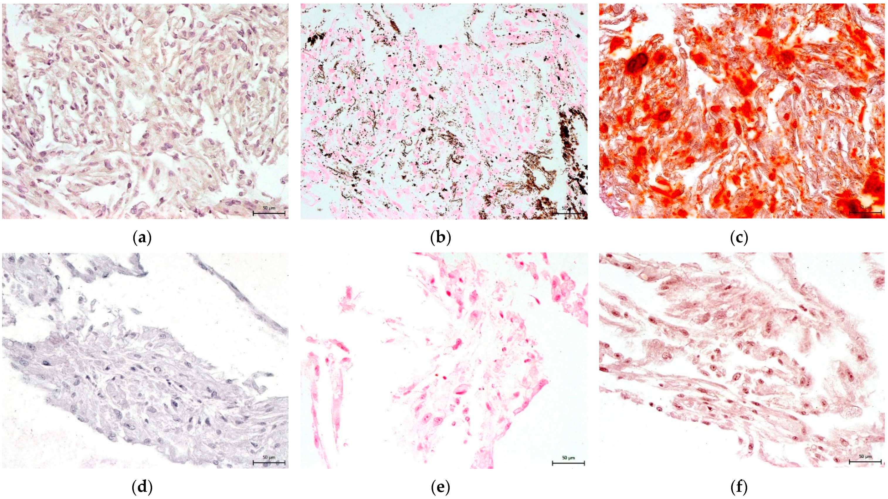 Biomolecules 12 01091 g012