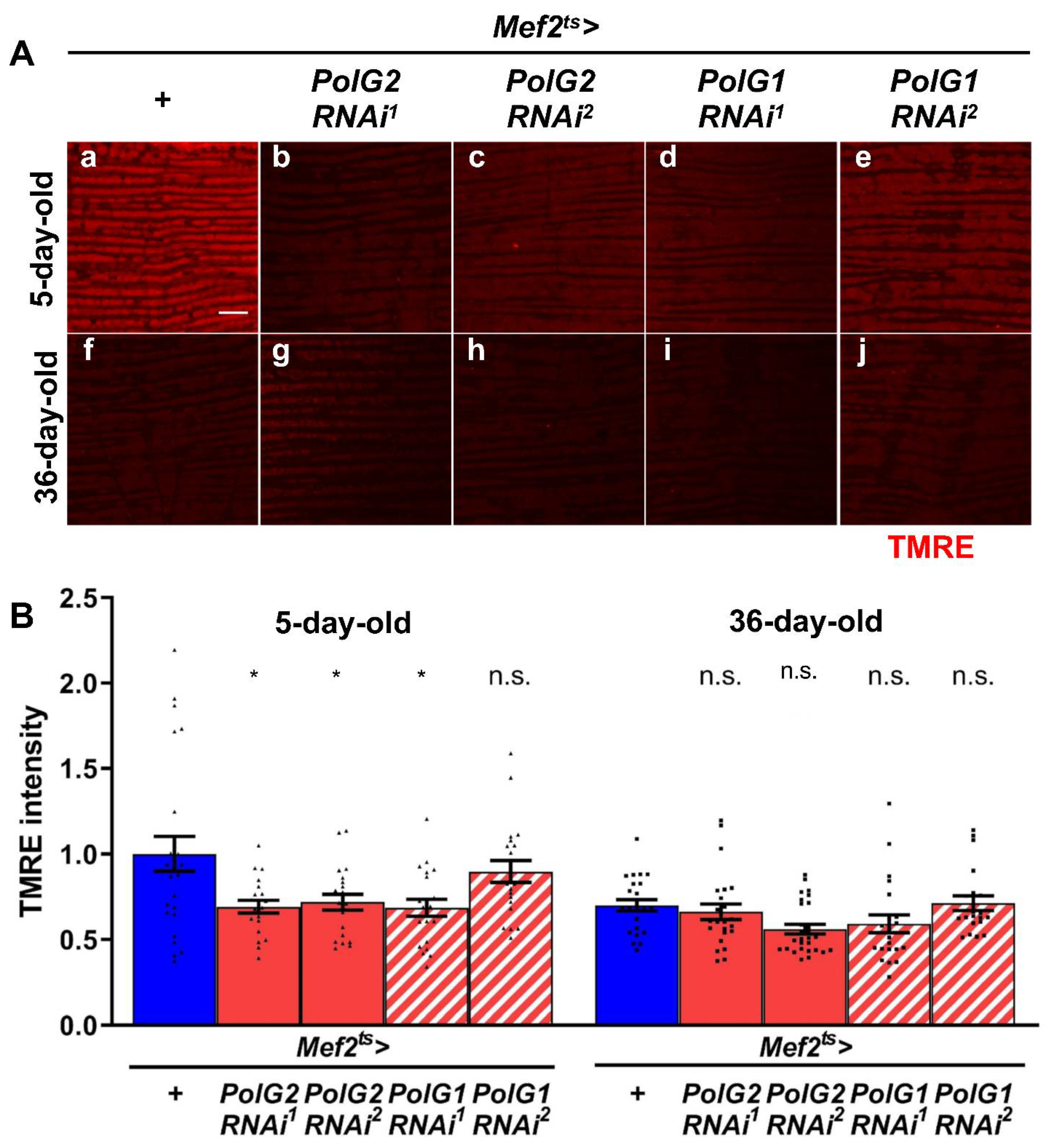 Biomolecules 12 01105 g003