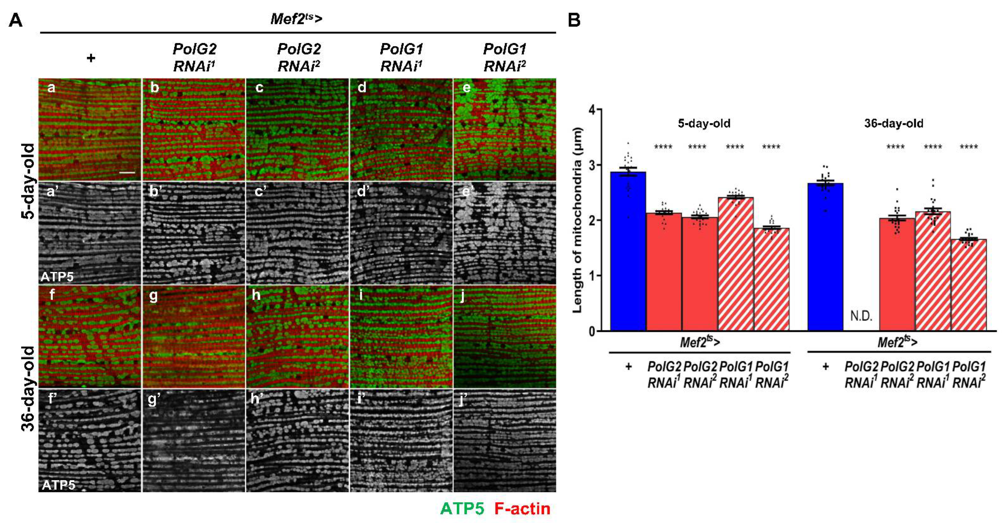 Biomolecules 12 01105 g004