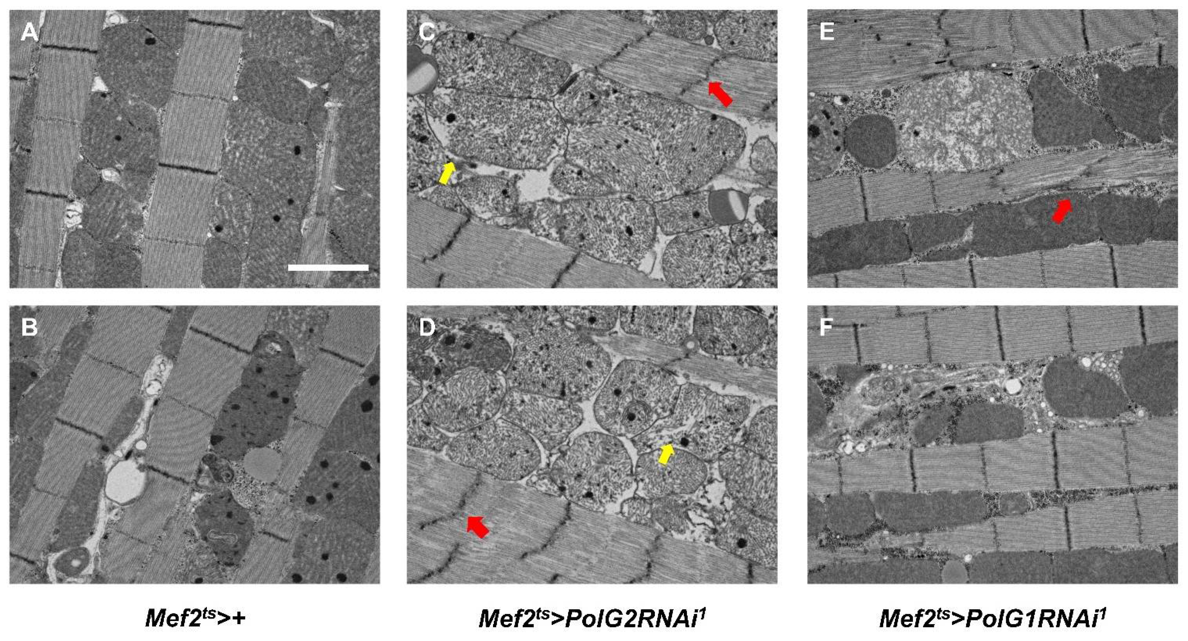 Biomolecules 12 01105 g007
