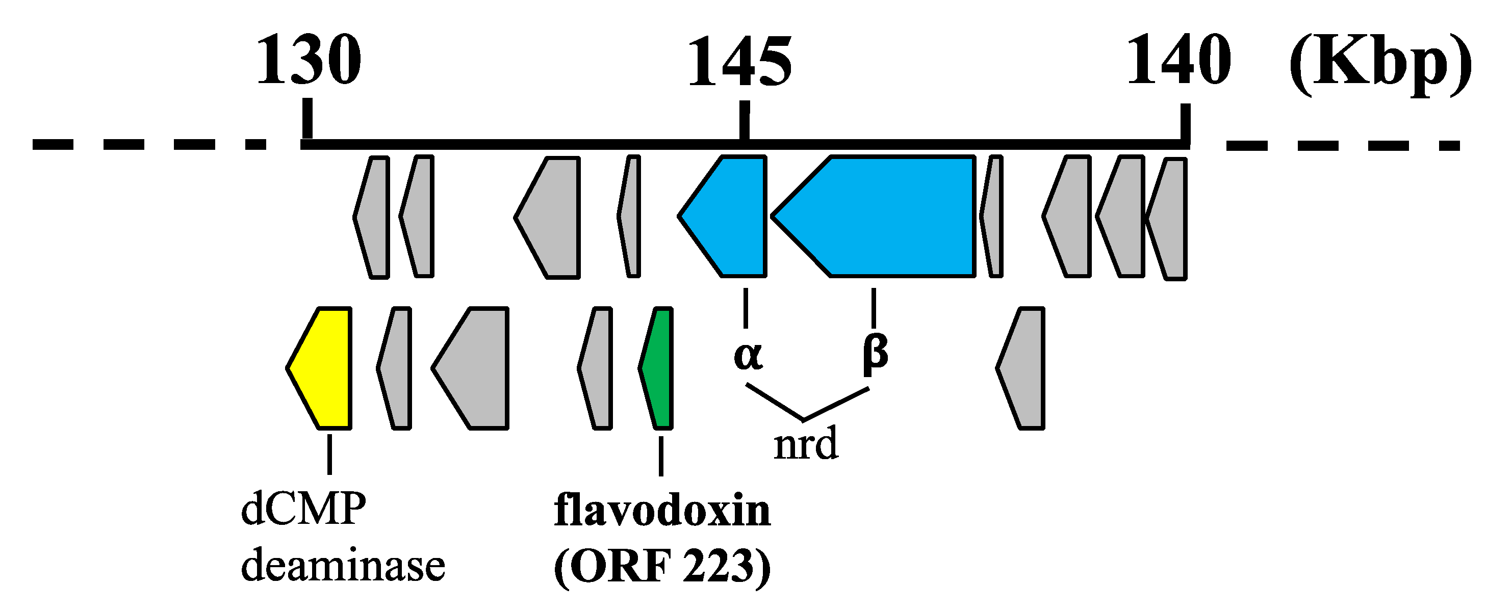 Biomolecules 12 01107 g001 Biomolecules 12 01107 g001
