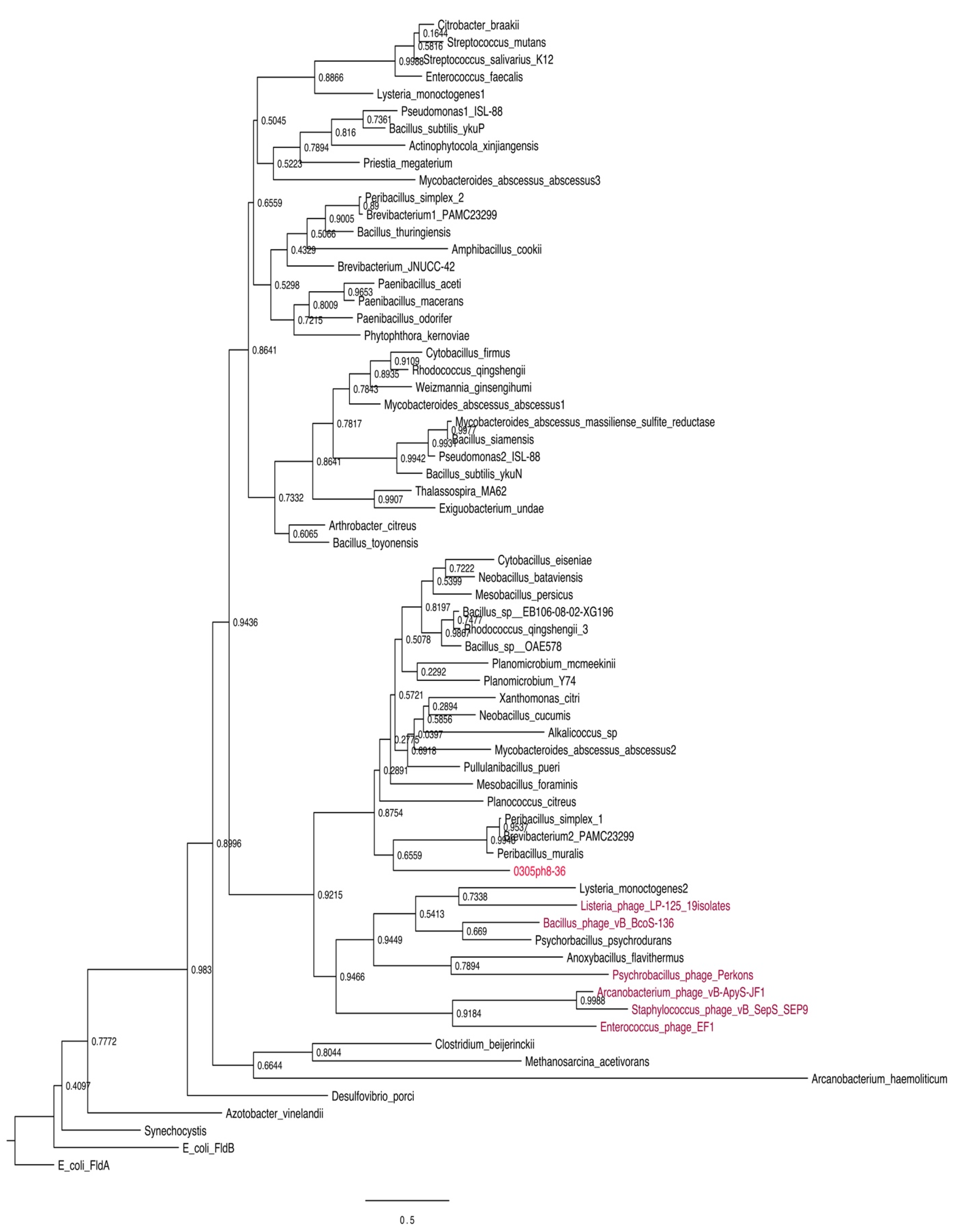 Biomolecules 12 01107 g003 Biomolecules 12 01107 g003
