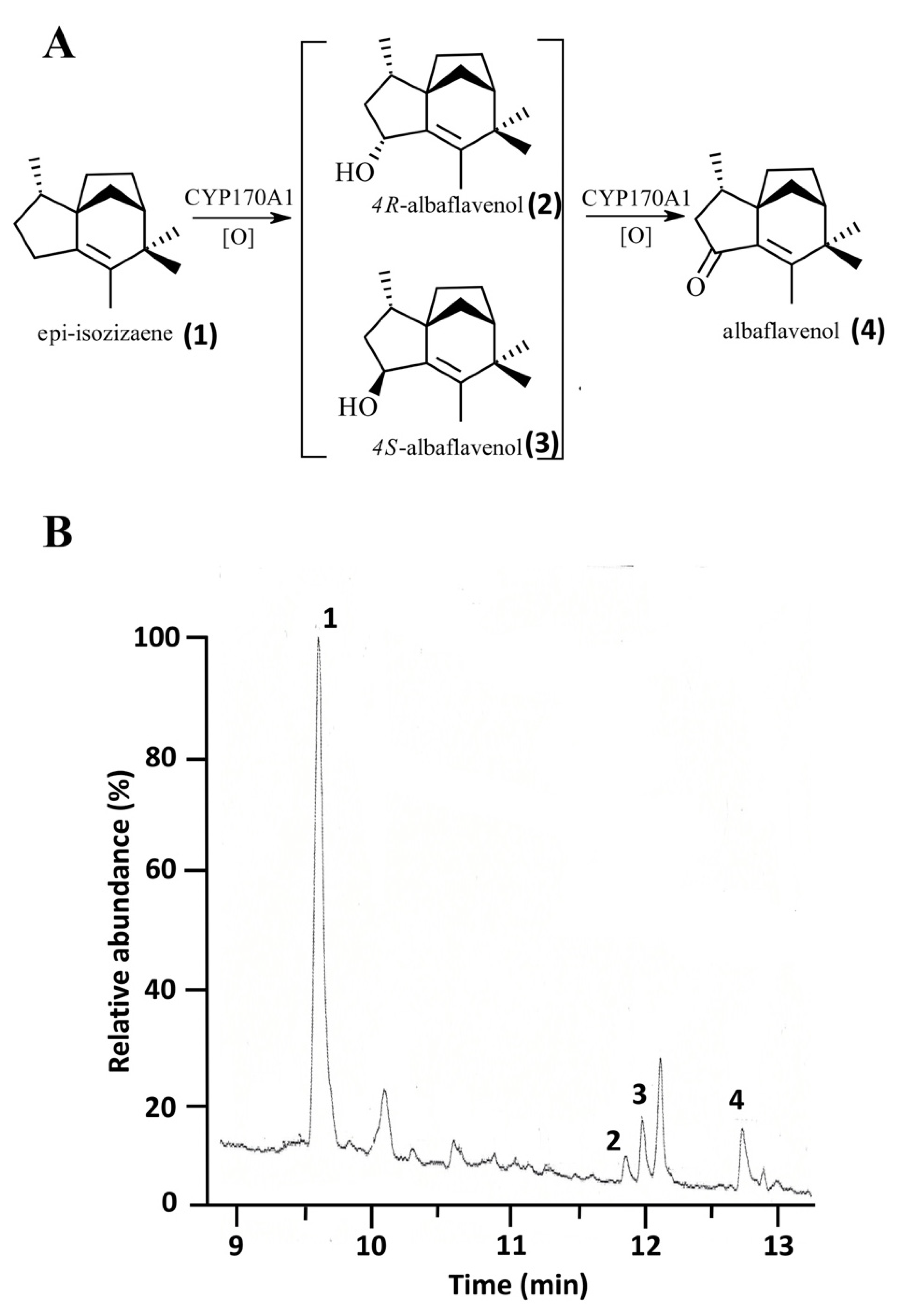 Biomolecules 12 01107 g005 Biomolecules 12 01107 g005