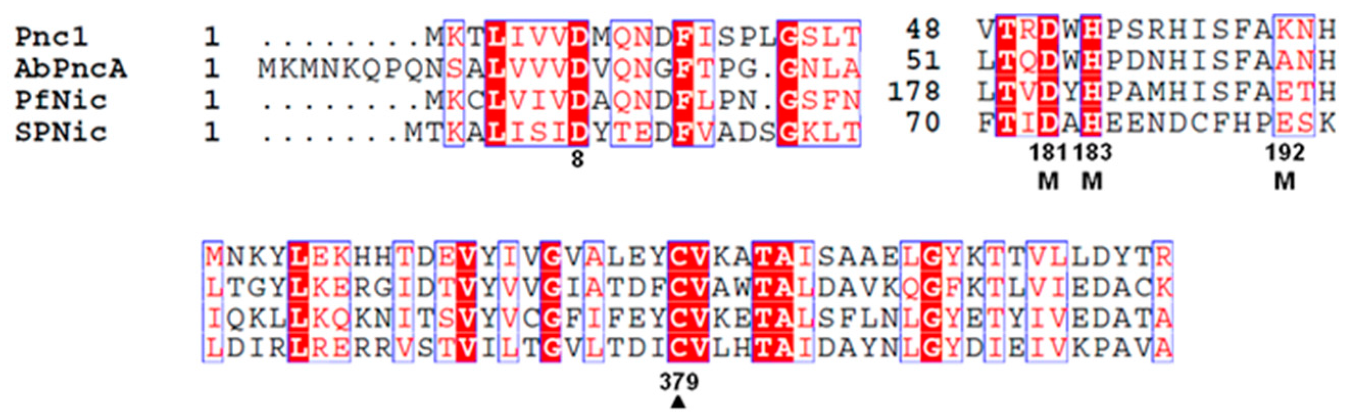 Biomolecules 12 01109 g003 Biomolecules 12 01109 g003